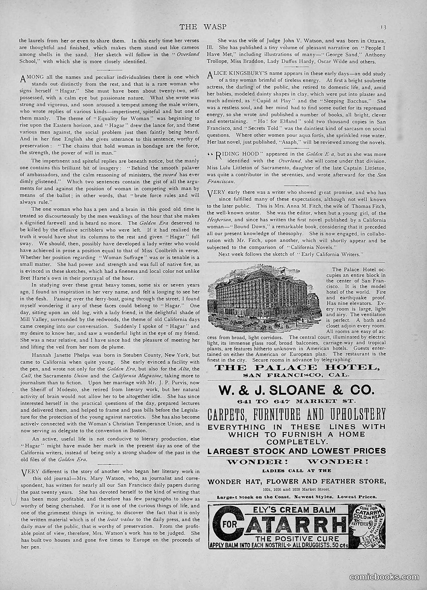 The Wasp — 1891 — page 466 of 546
