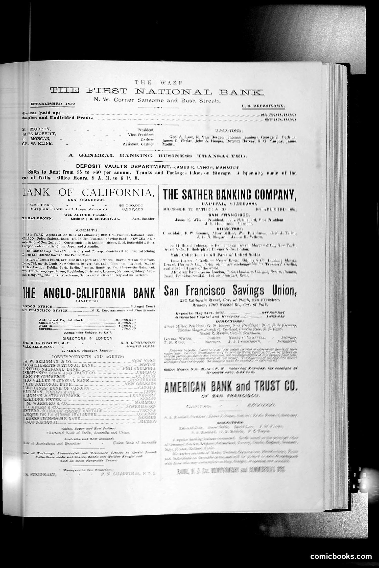 The Wasp — 1891 — page 48 of 546