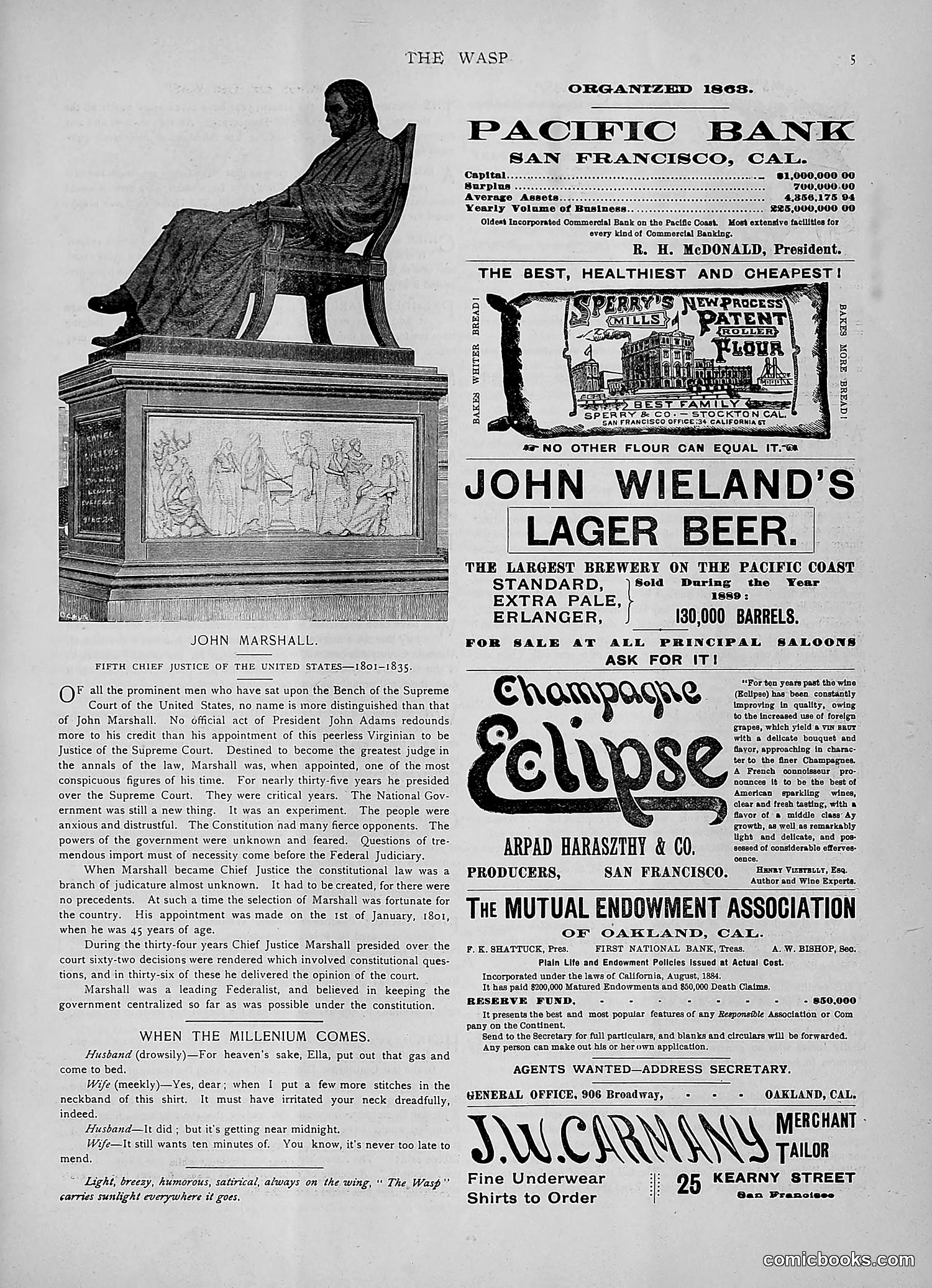 The Wasp — 1891 — page 478 of 546