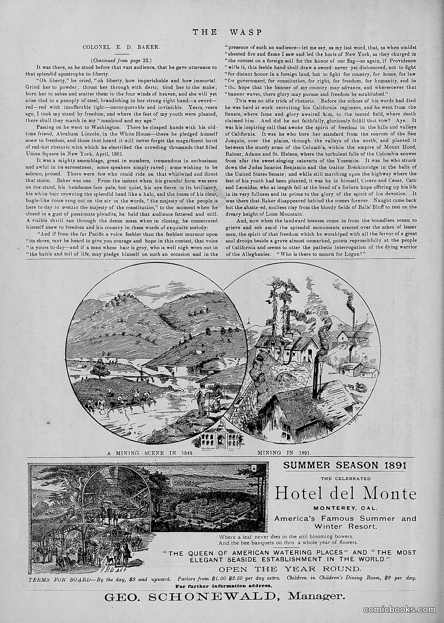 The Wasp — 1891 — page 49 of 546