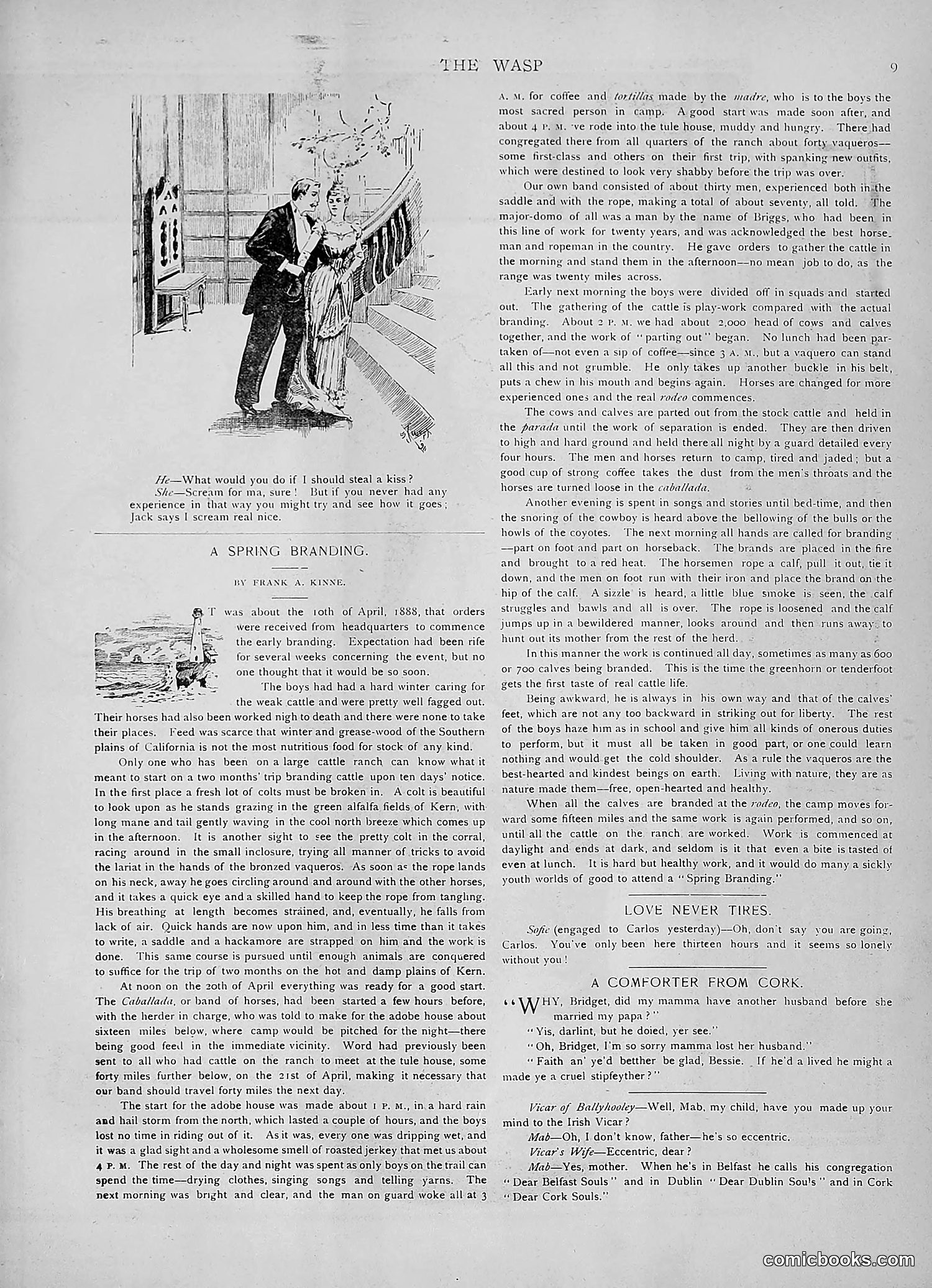The Wasp — 1891 — page 482 of 546