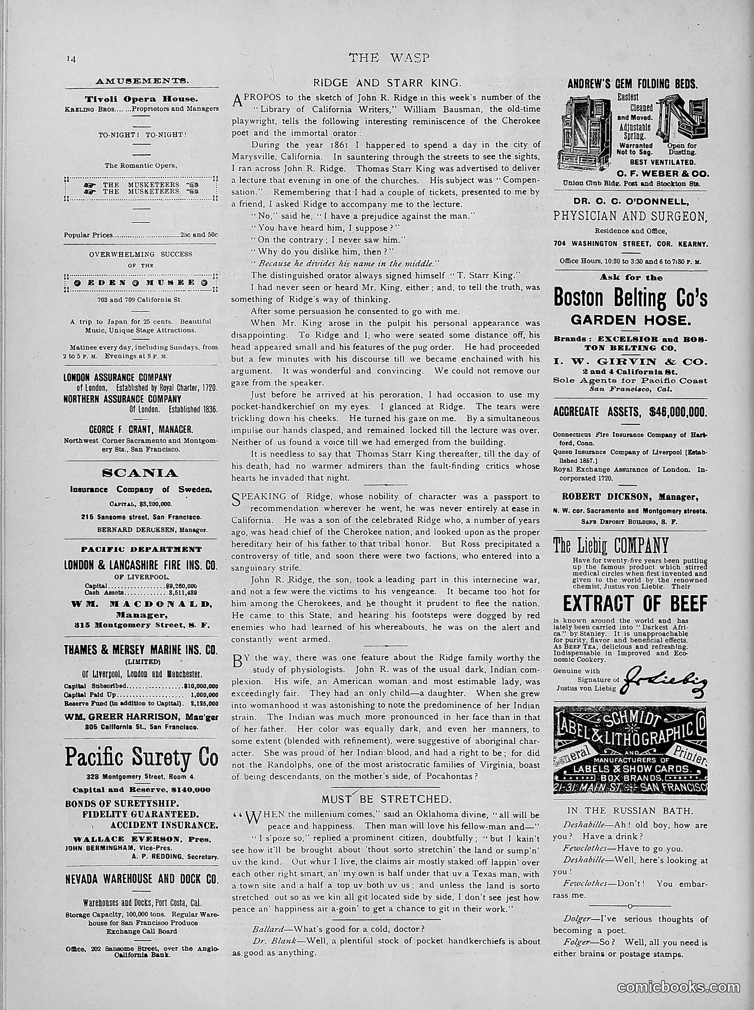 The Wasp — 1891 — page 487 of 546