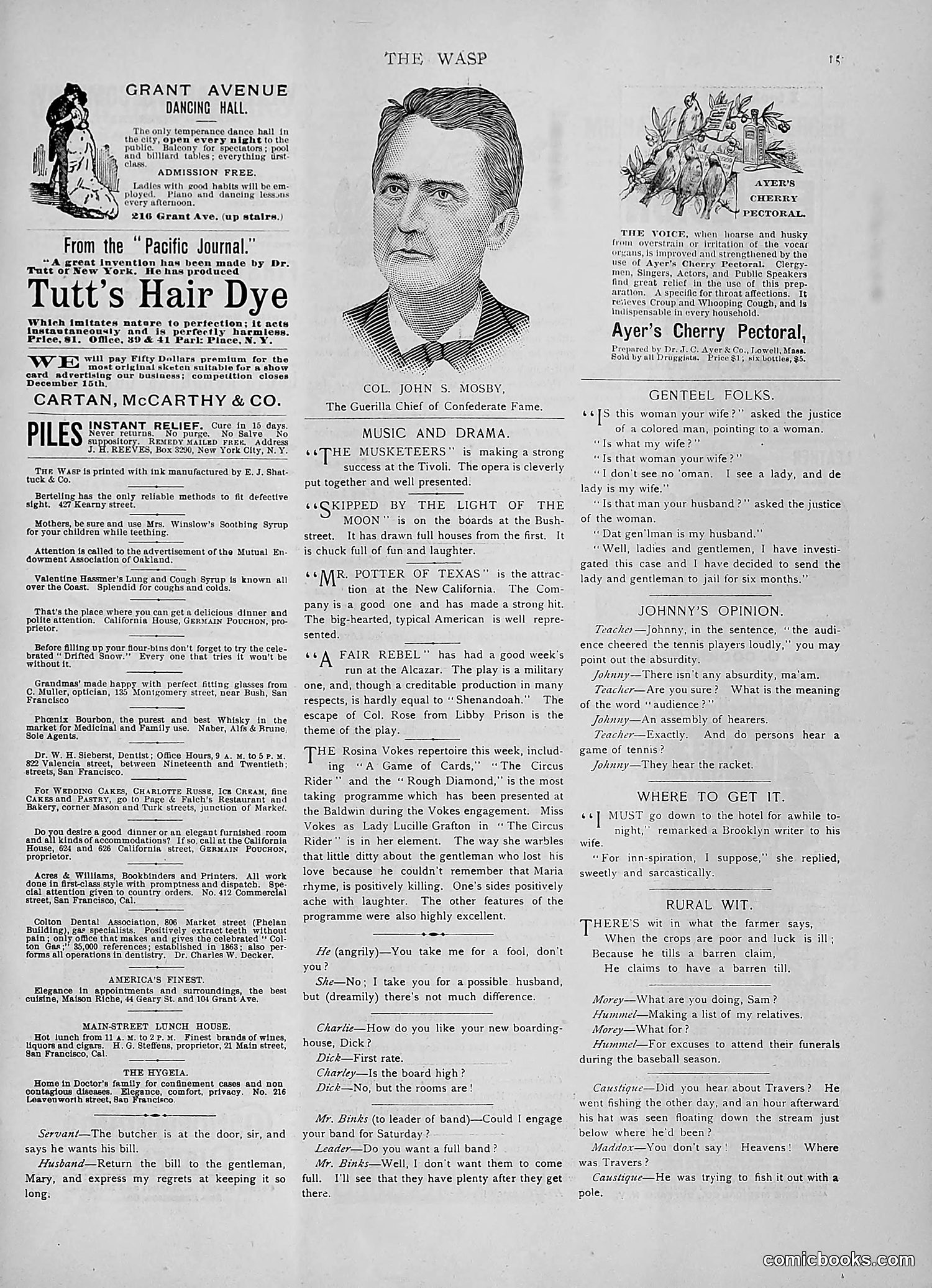 The Wasp — 1891 — page 488 of 546
