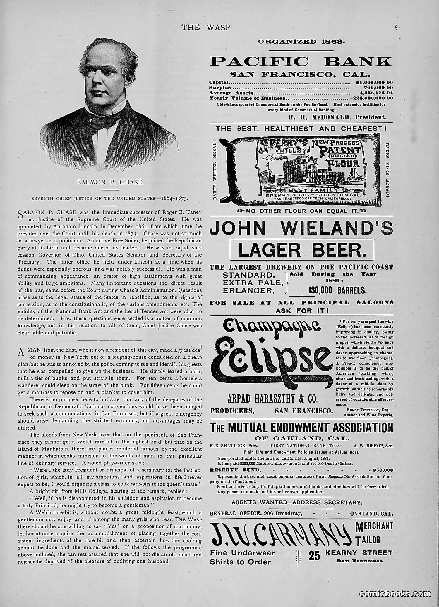 The Wasp — 1891 — page 498 of 546