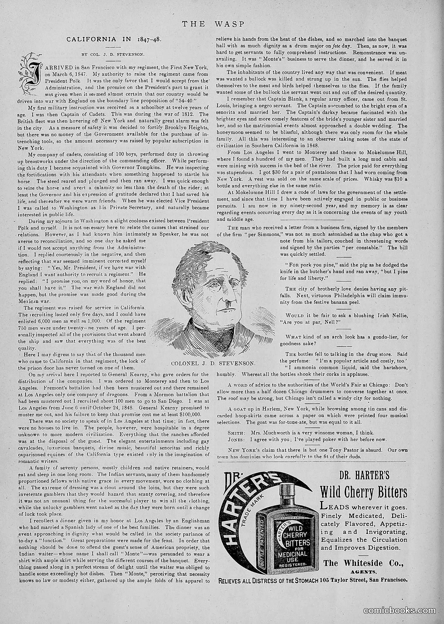 The Wasp — 1891 — page 51 of 546