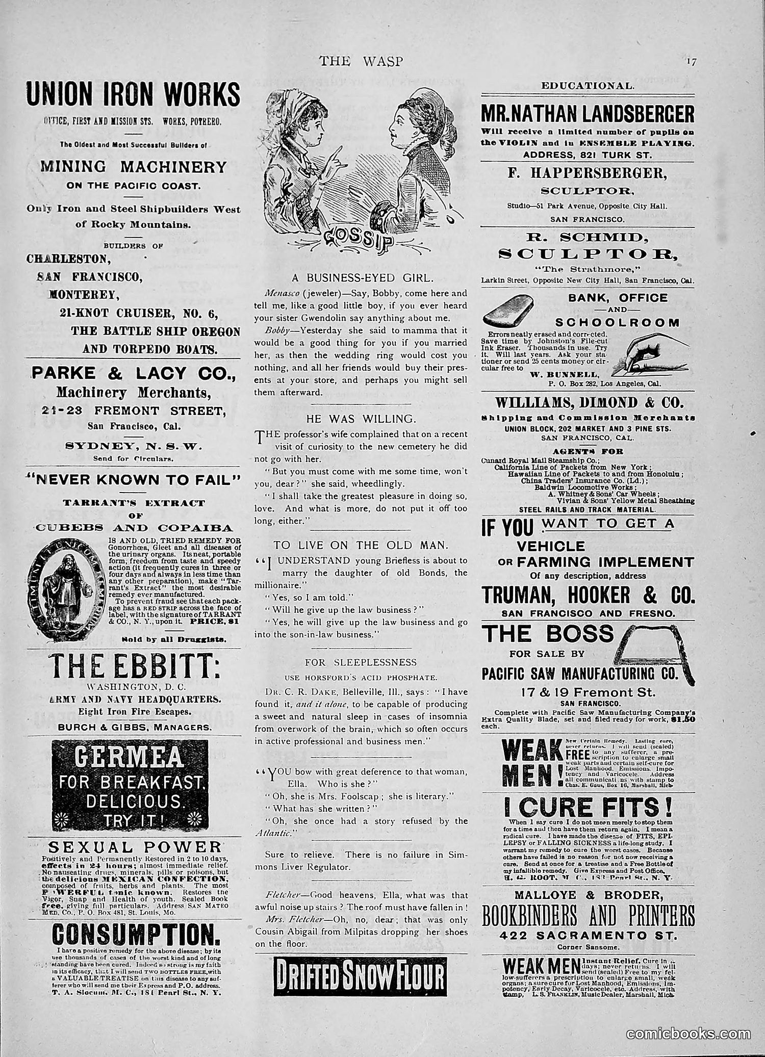 The Wasp — 1891 — page 510 of 546