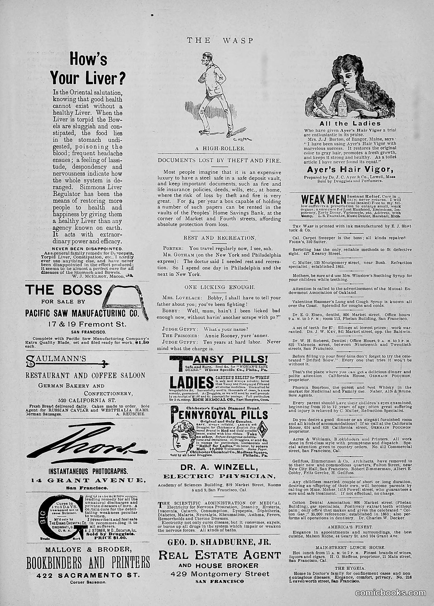 The Wasp — 1891 — page 52 of 546