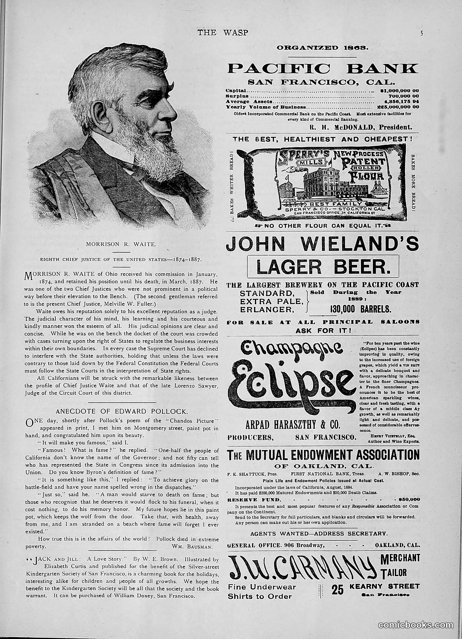 The Wasp — 1891 — page 518 of 546
