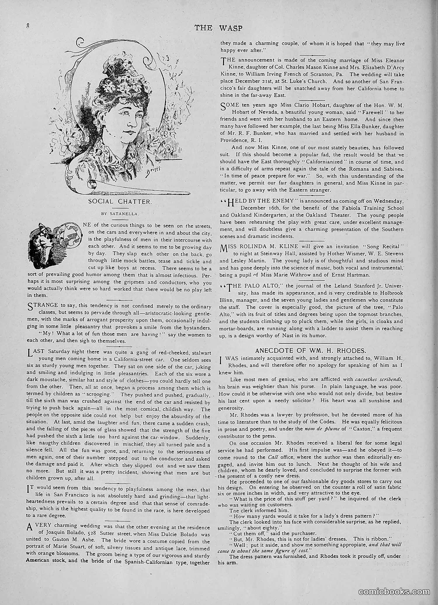 The Wasp — 1891 — page 521 of 546