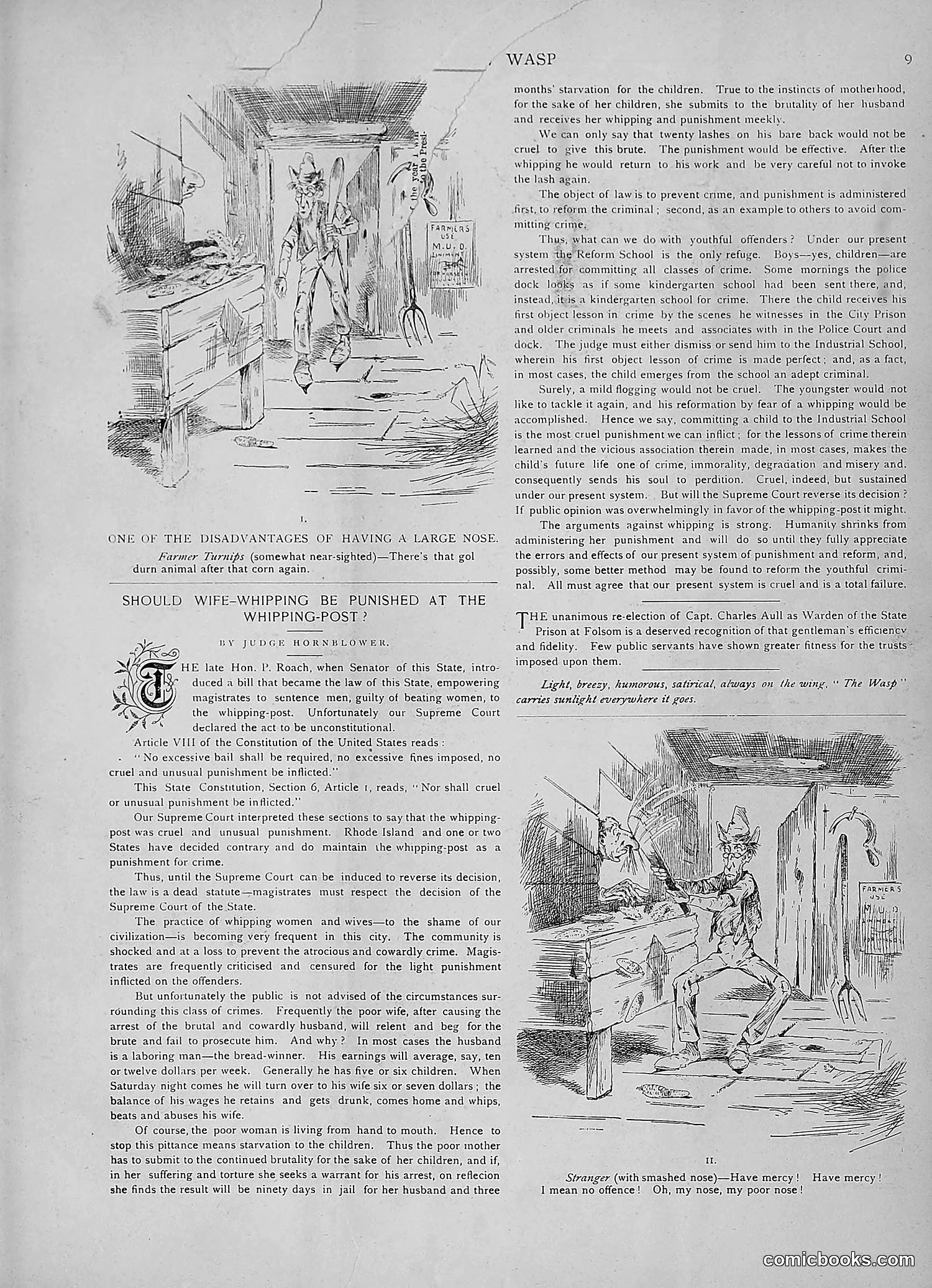 The Wasp — 1891 — page 522 of 546