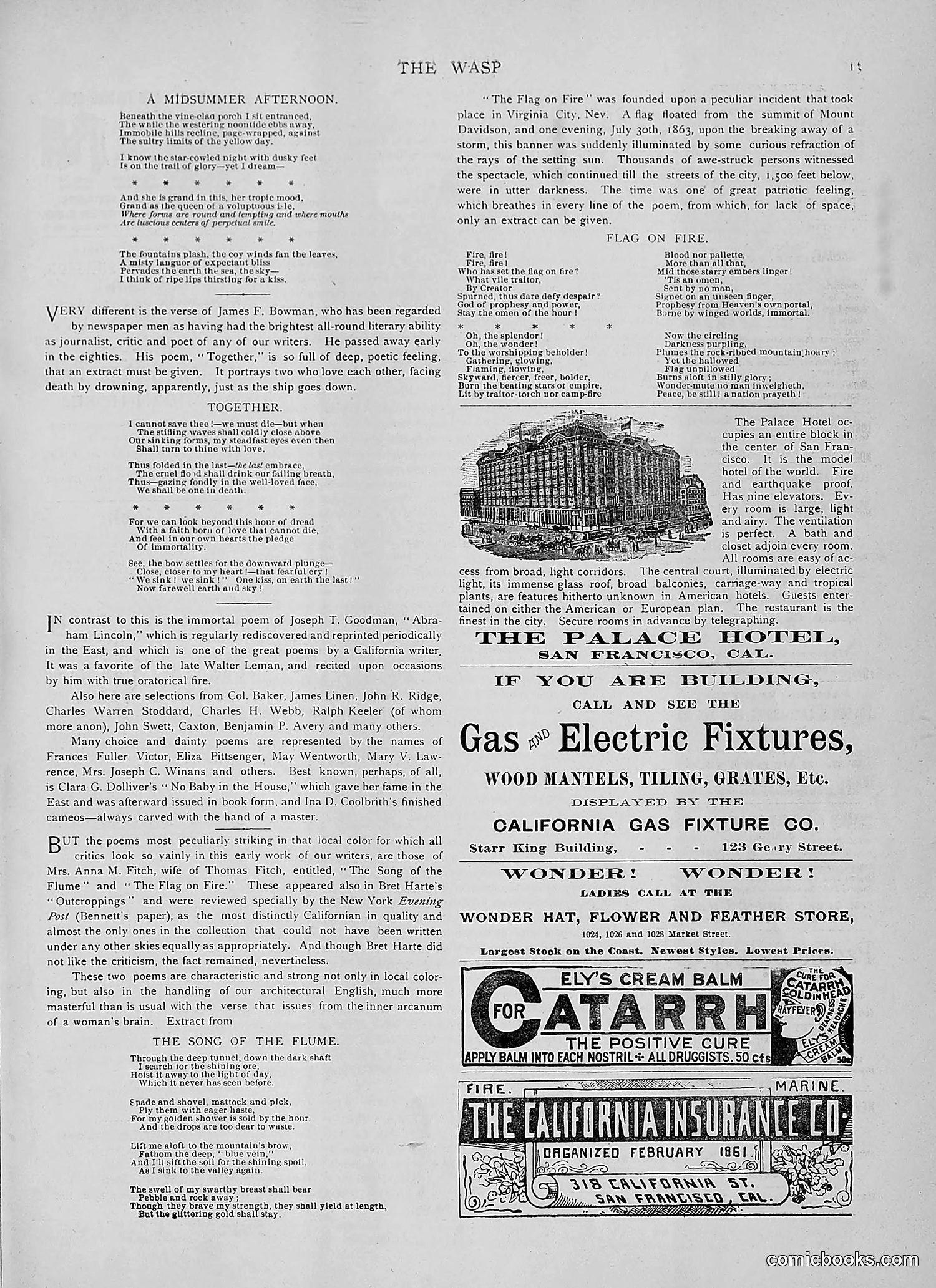 The Wasp — 1891 — page 526 of 546