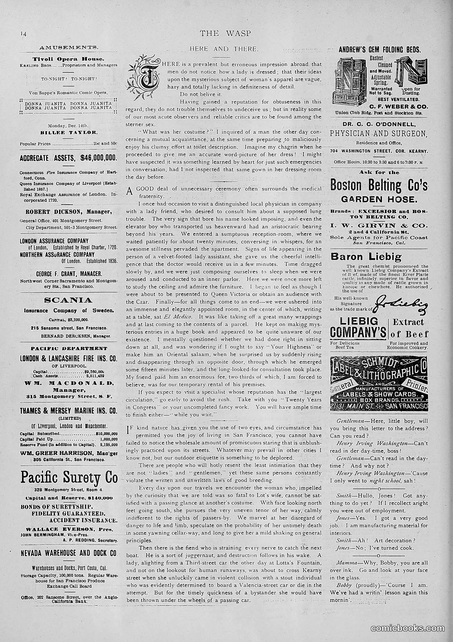The Wasp — 1891 — page 527 of 546