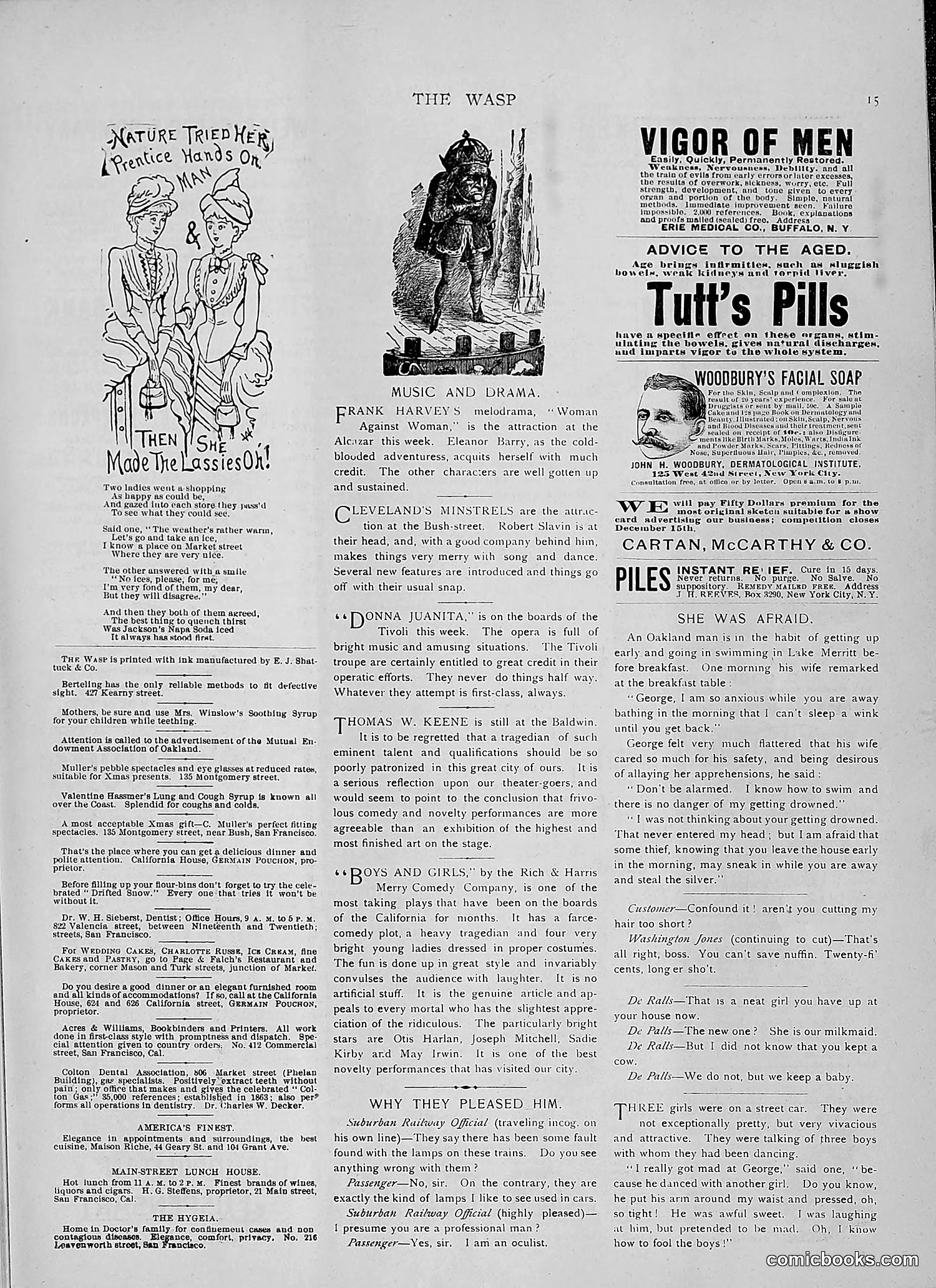 The Wasp — 1891 — page 528 of 546