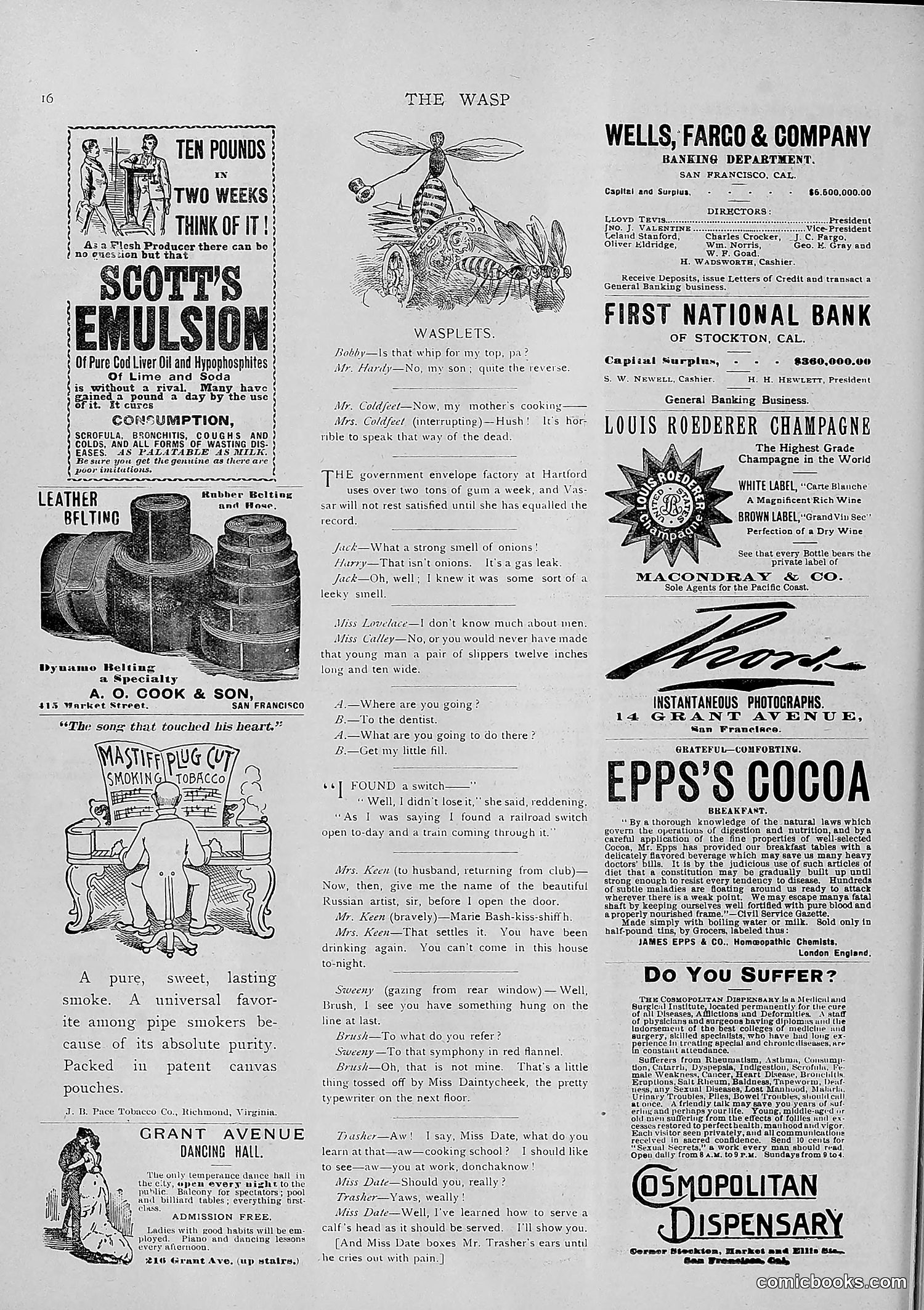 The Wasp — 1891 — page 529 of 546