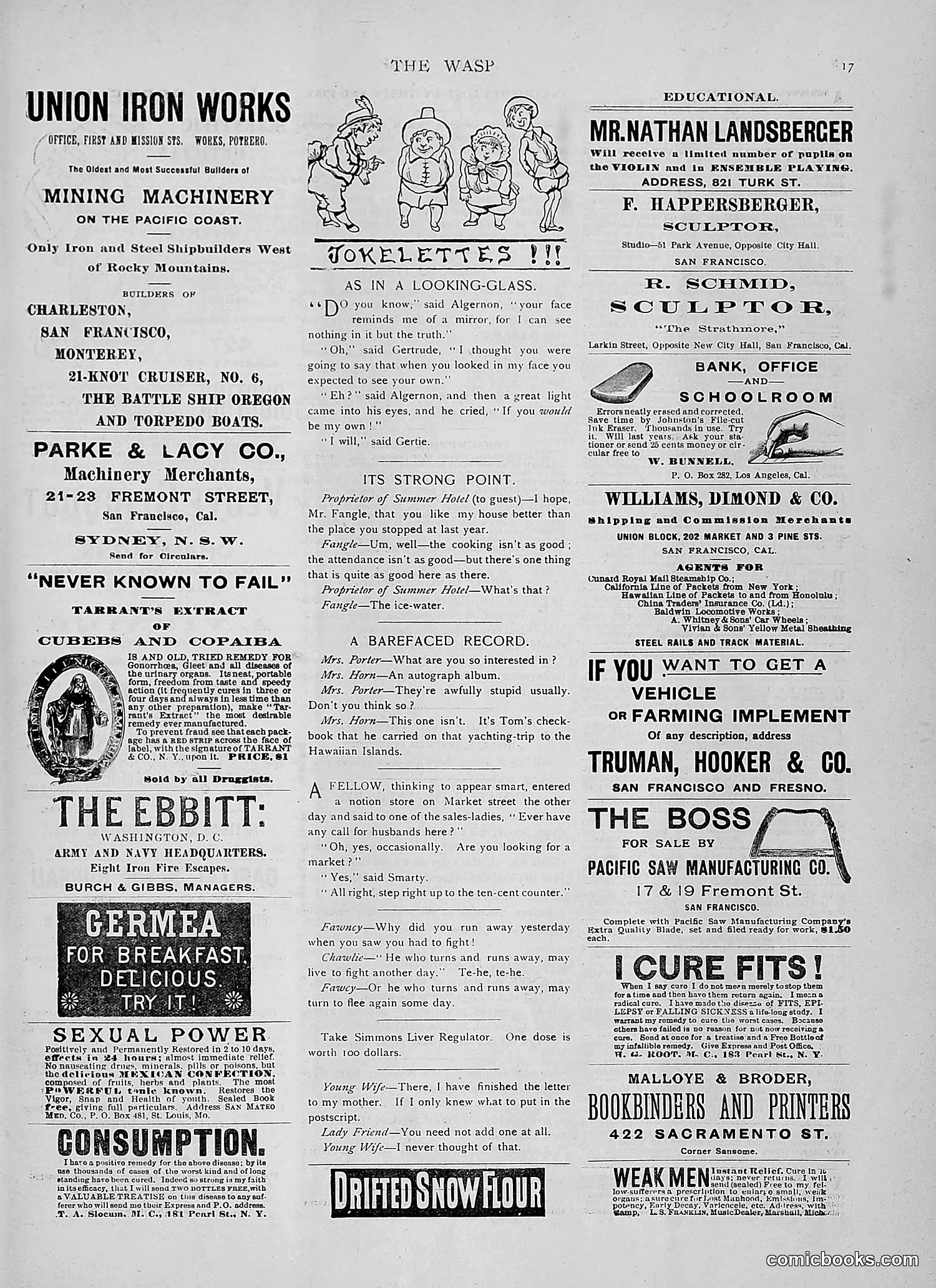 The Wasp — 1891 — page 530 of 546