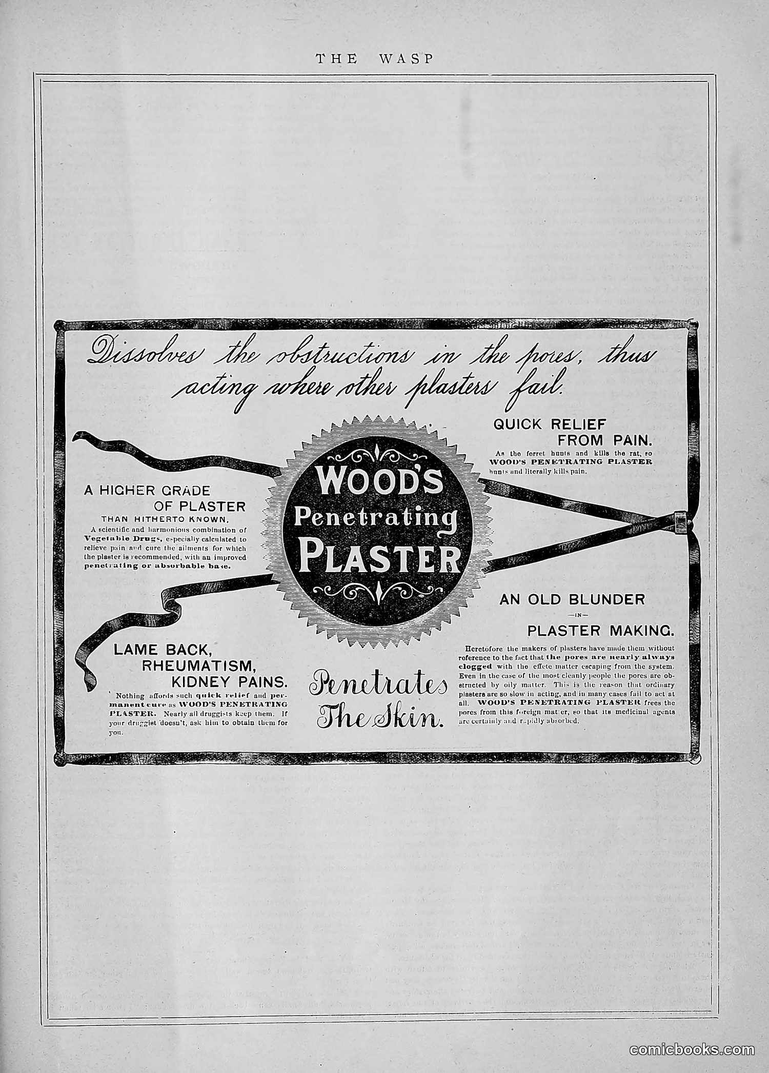 The Wasp — 1891 — page 54 of 546