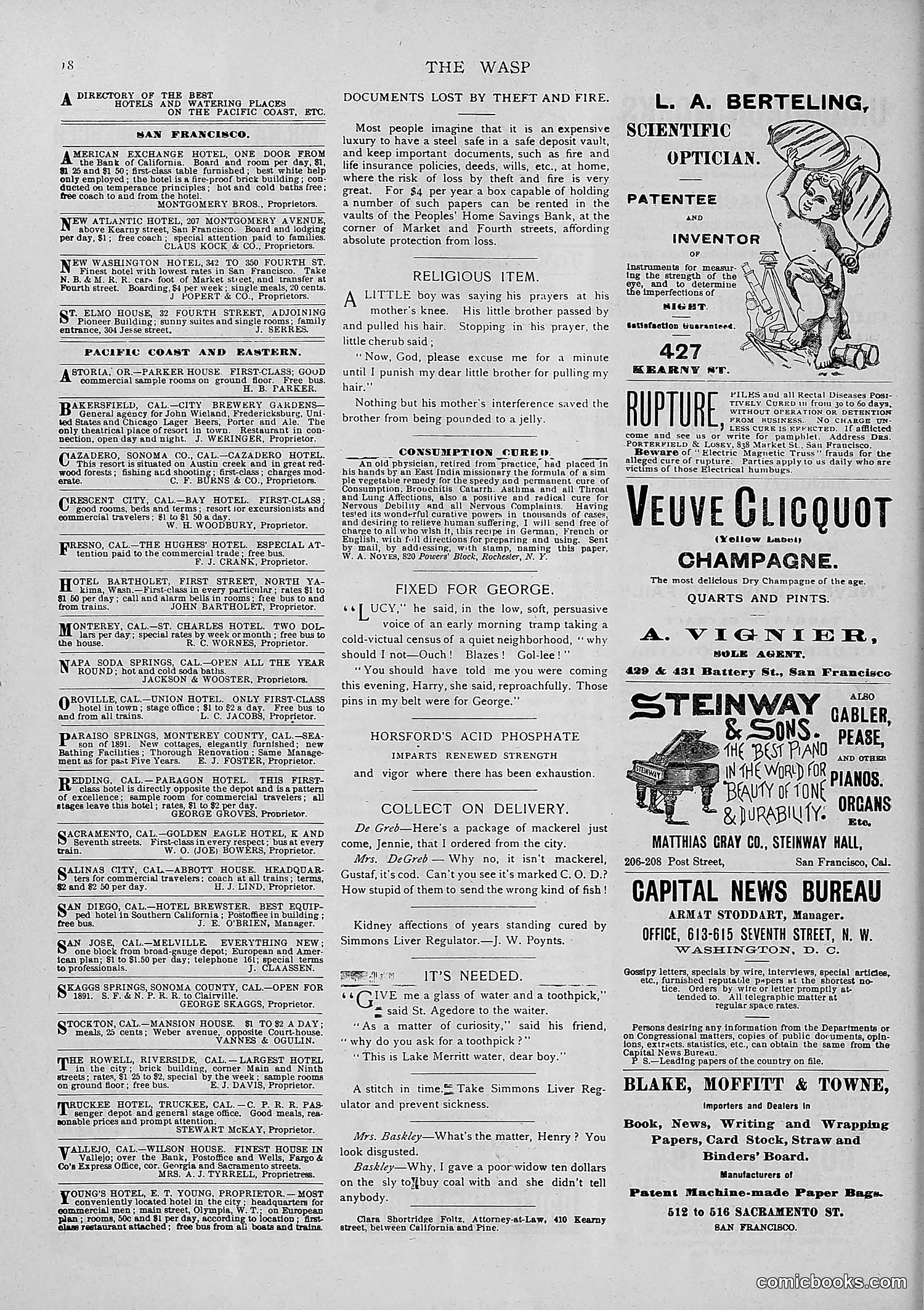 The Wasp — 1891 — page 531 of 546