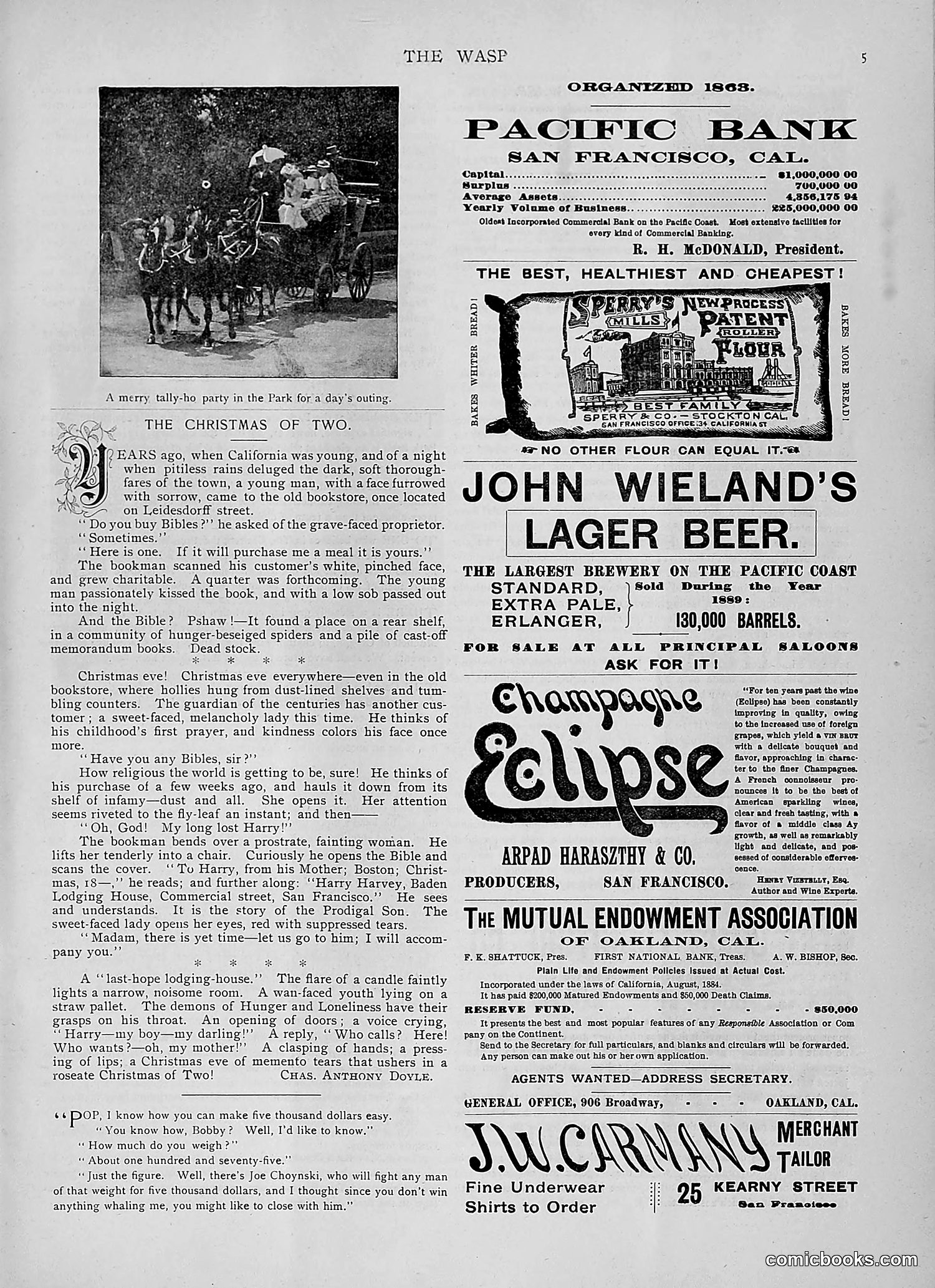 The Wasp — 1891 — page 538 of 546