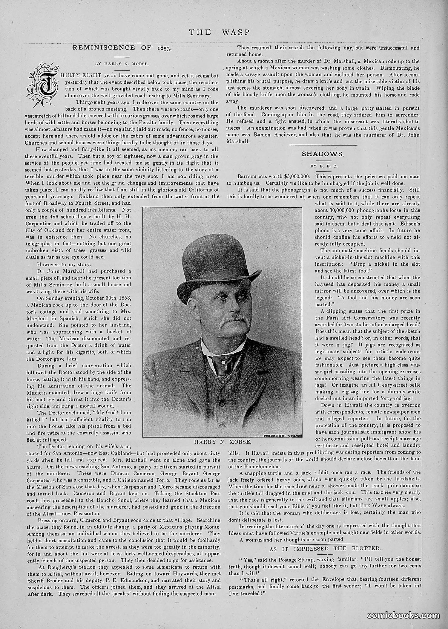 The Wasp — 1891 — page 55 of 546