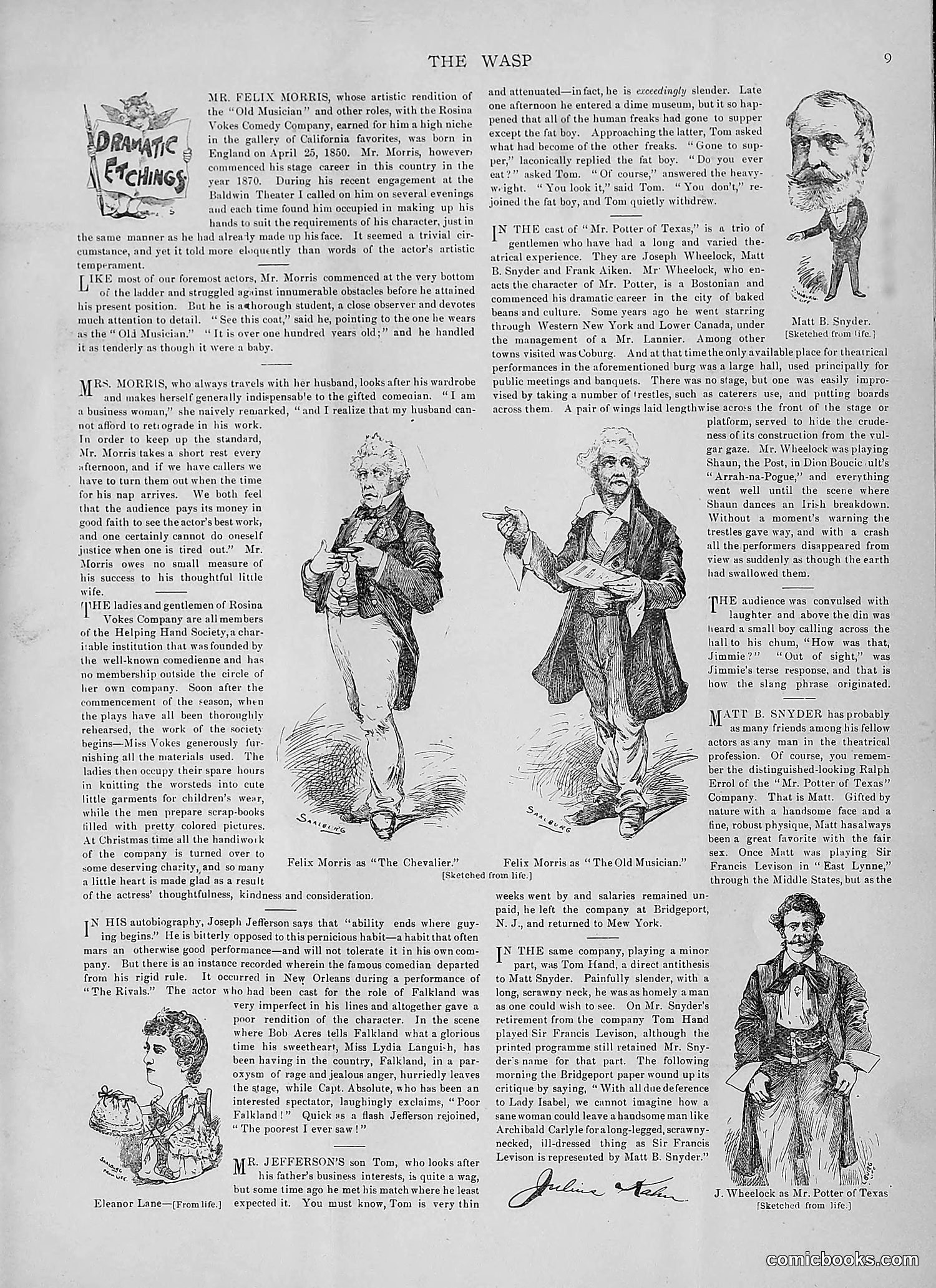 The Wasp — 1891 — page 542 of 546