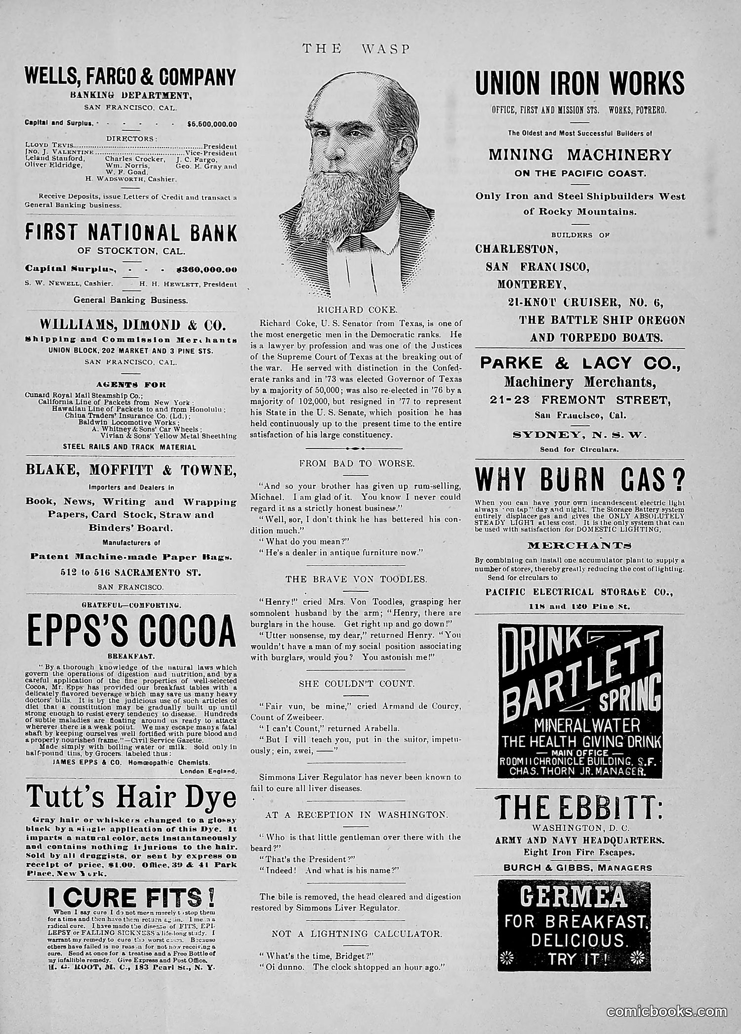 The Wasp — 1891 — page 56 of 546