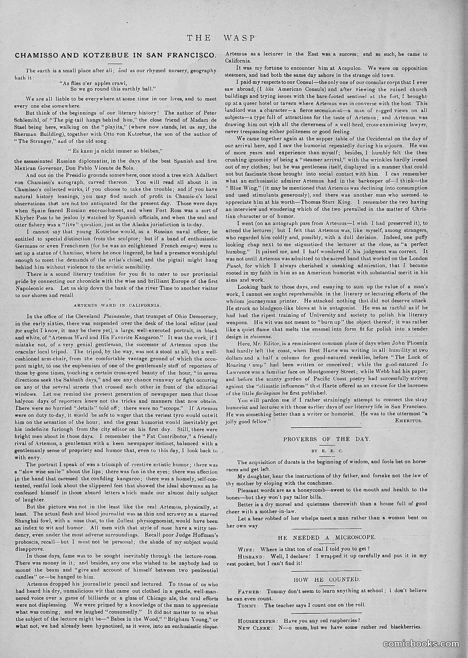 The Wasp — 1891 — page 59 of 546