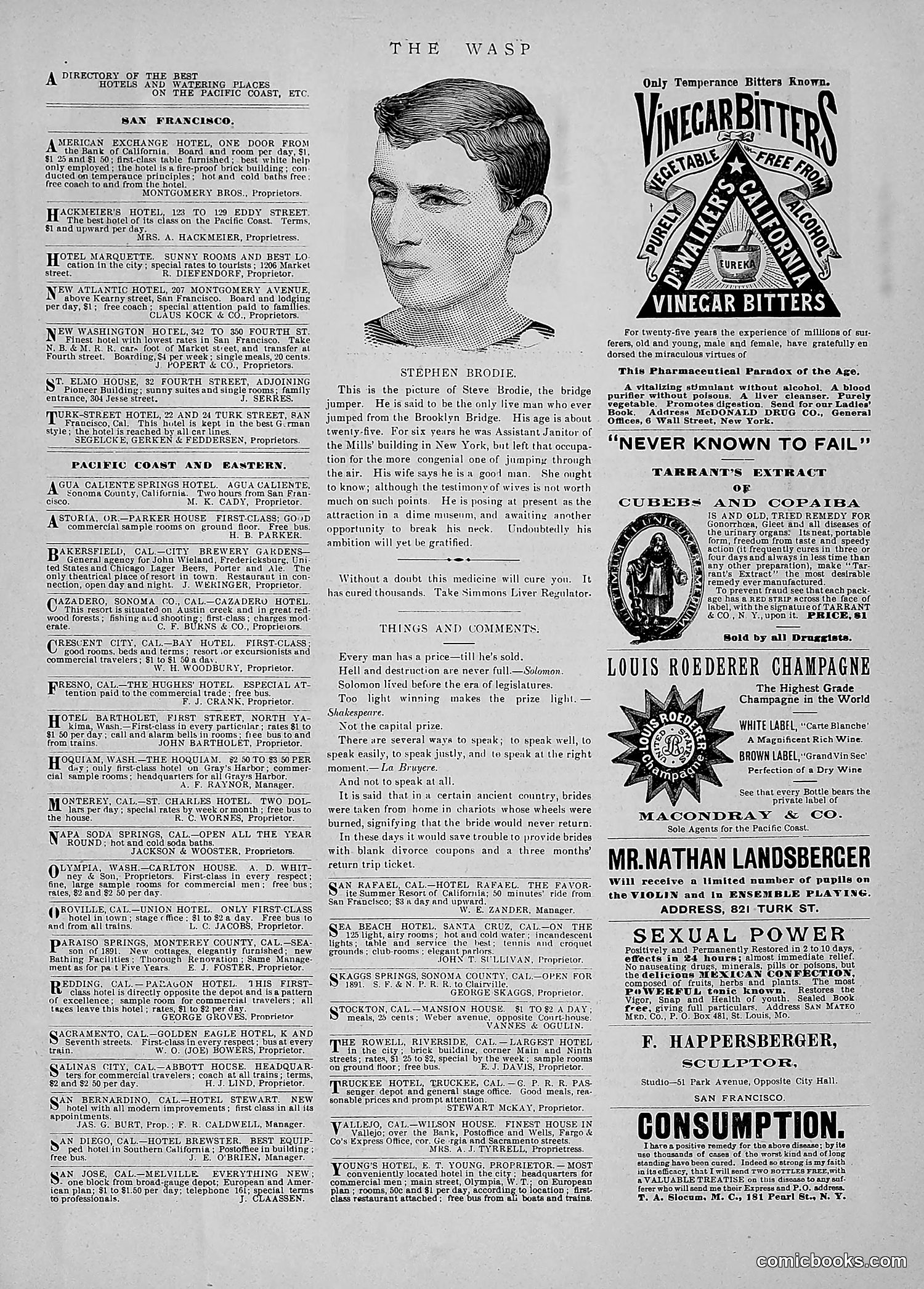 The Wasp — 1891 — page 60 of 546