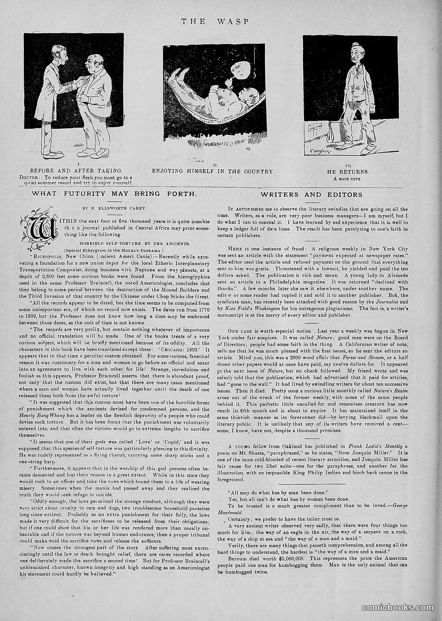 The Wasp — 1891 — page 61 of 546