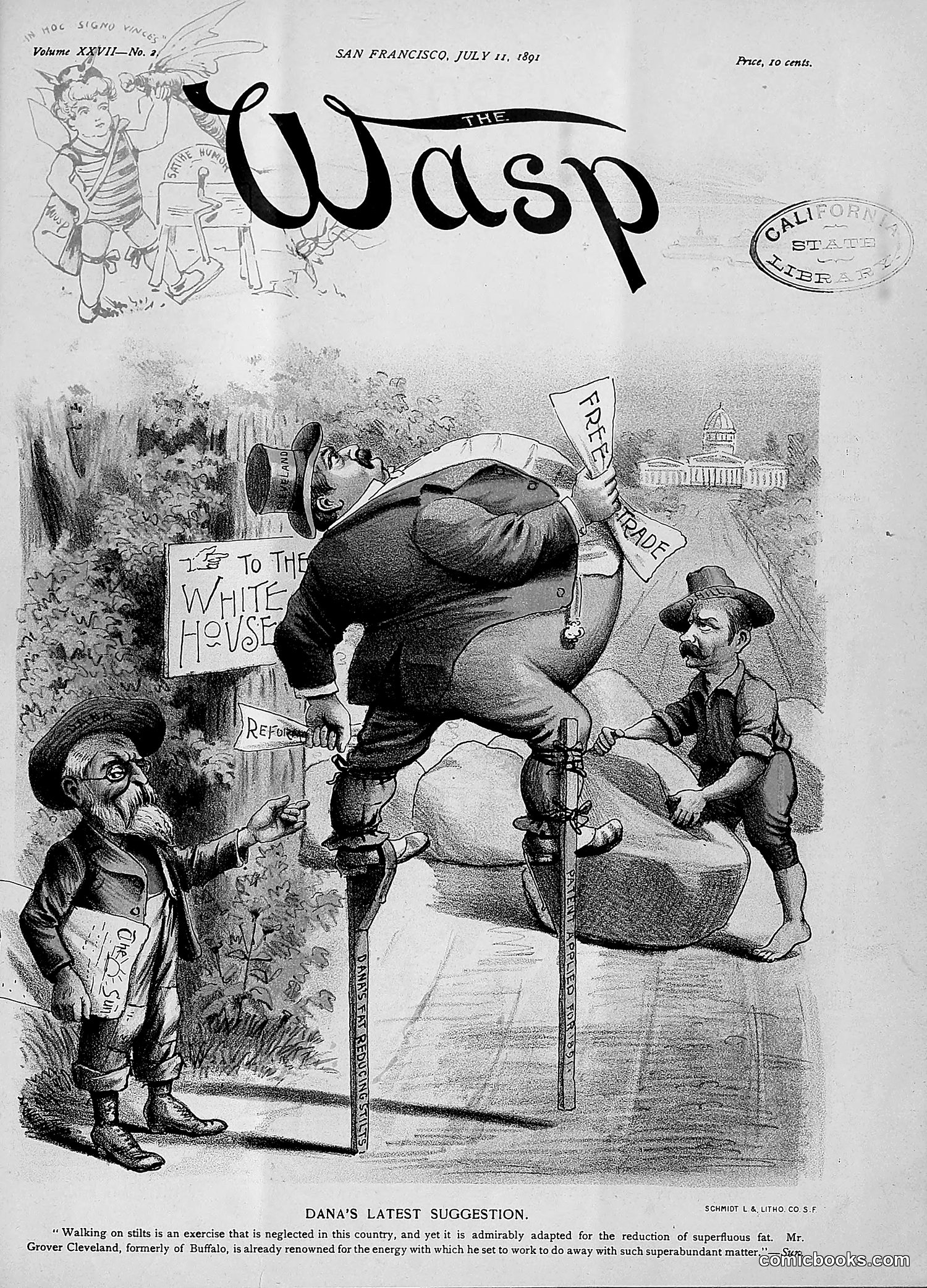The Wasp — 1891 — page 64 of 546