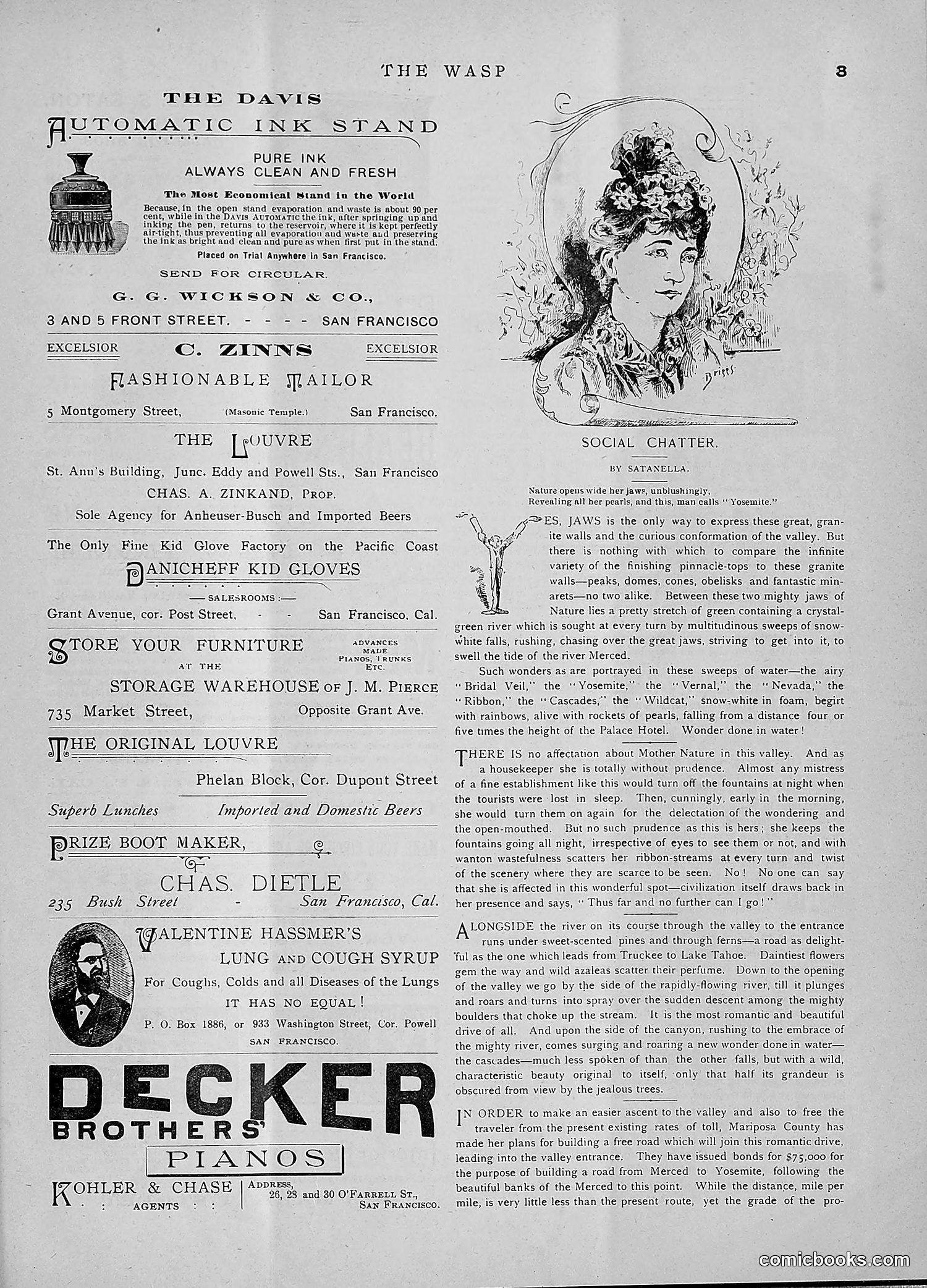 The Wasp — 1891 — page 66 of 546