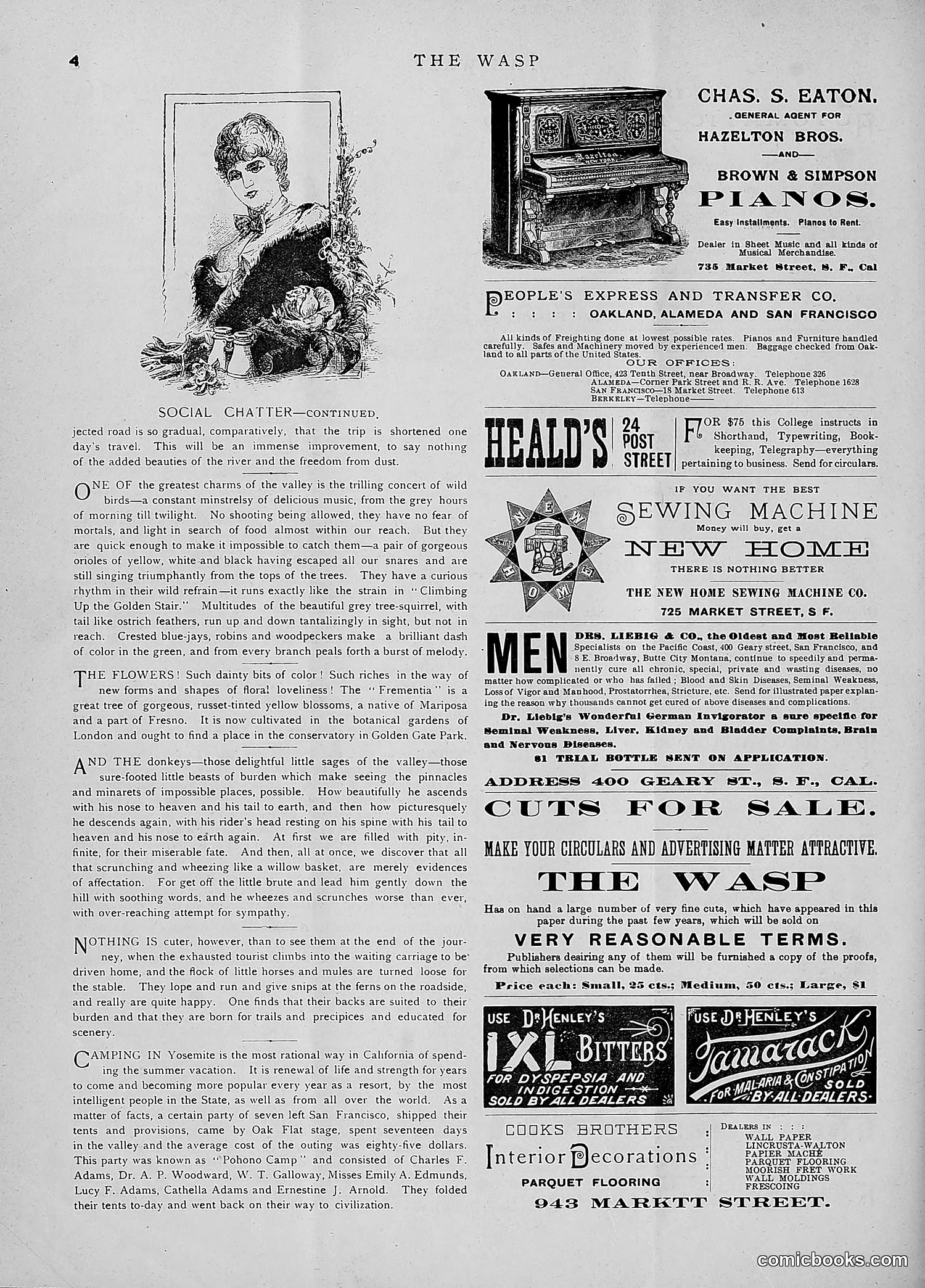 The Wasp — 1891 — page 67 of 546