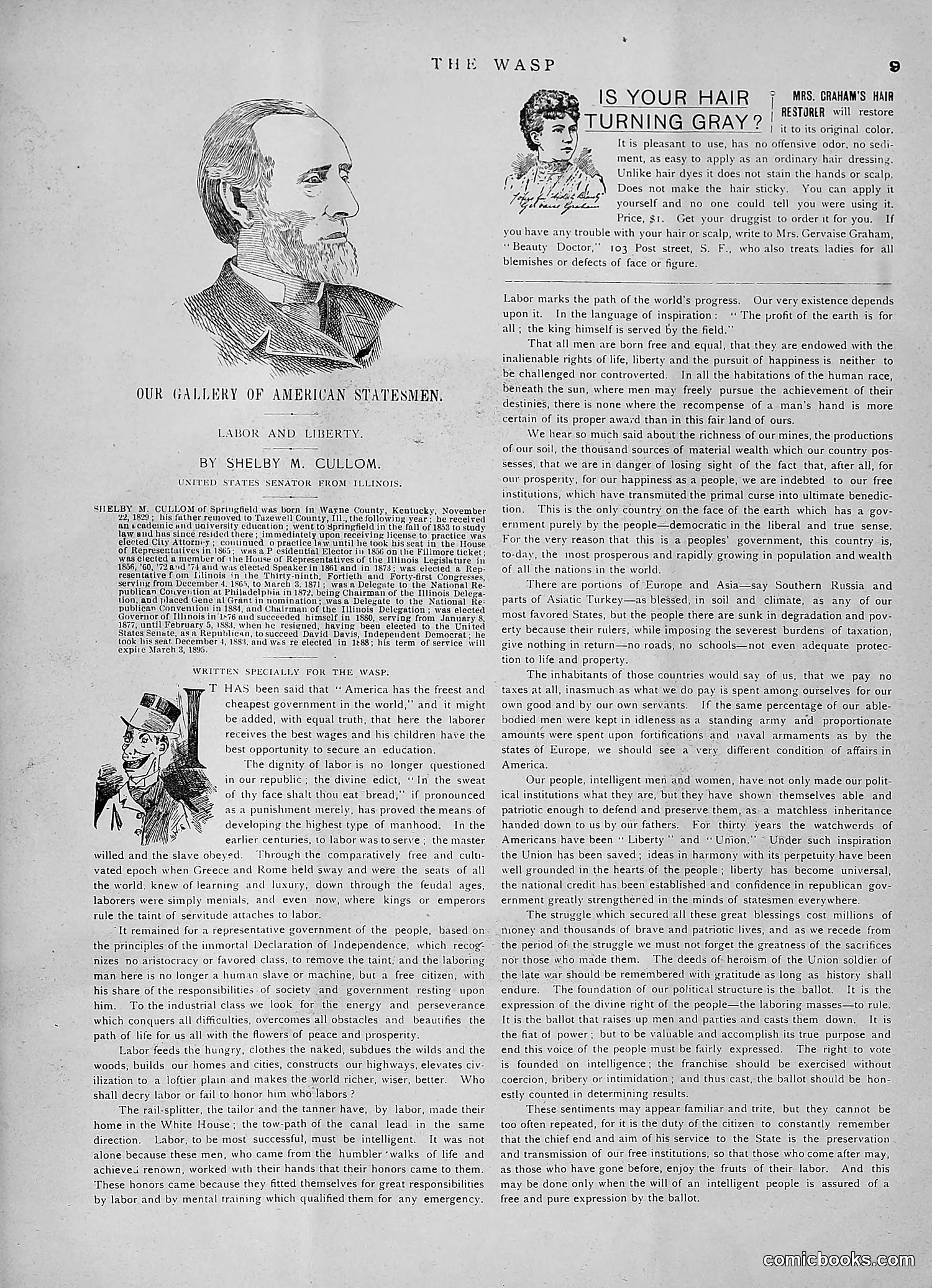 The Wasp — 1891 — page 72 of 546