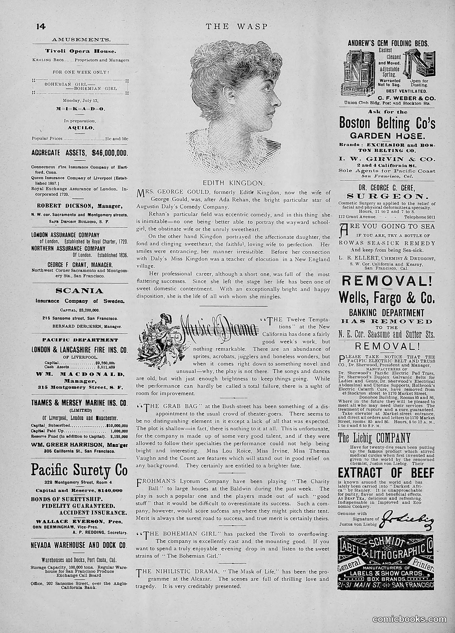 The Wasp — 1891 — page 79 of 546