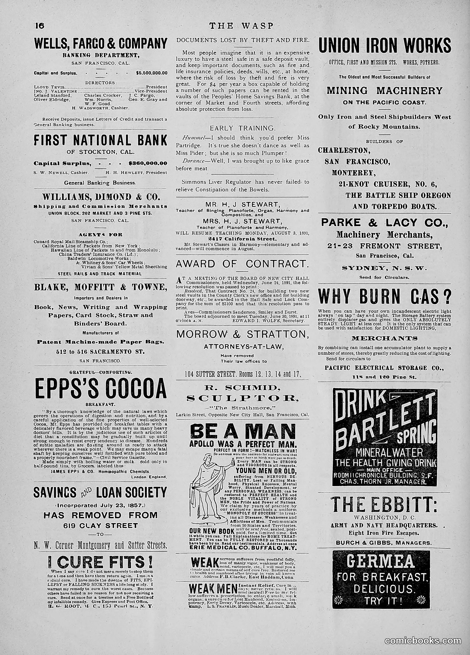 The Wasp — 1891 — page 81 of 546