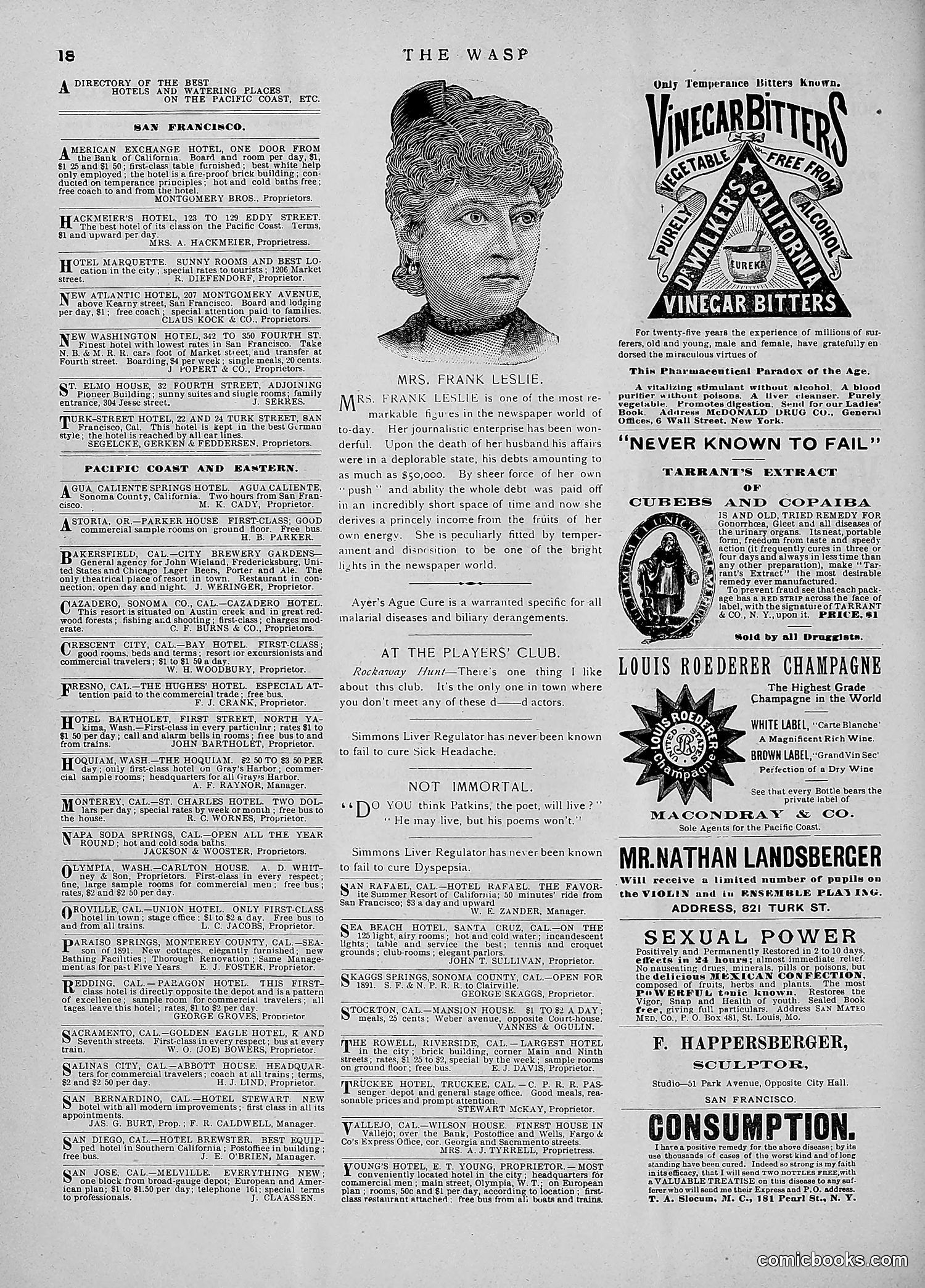 The Wasp — 1891 — page 83 of 546