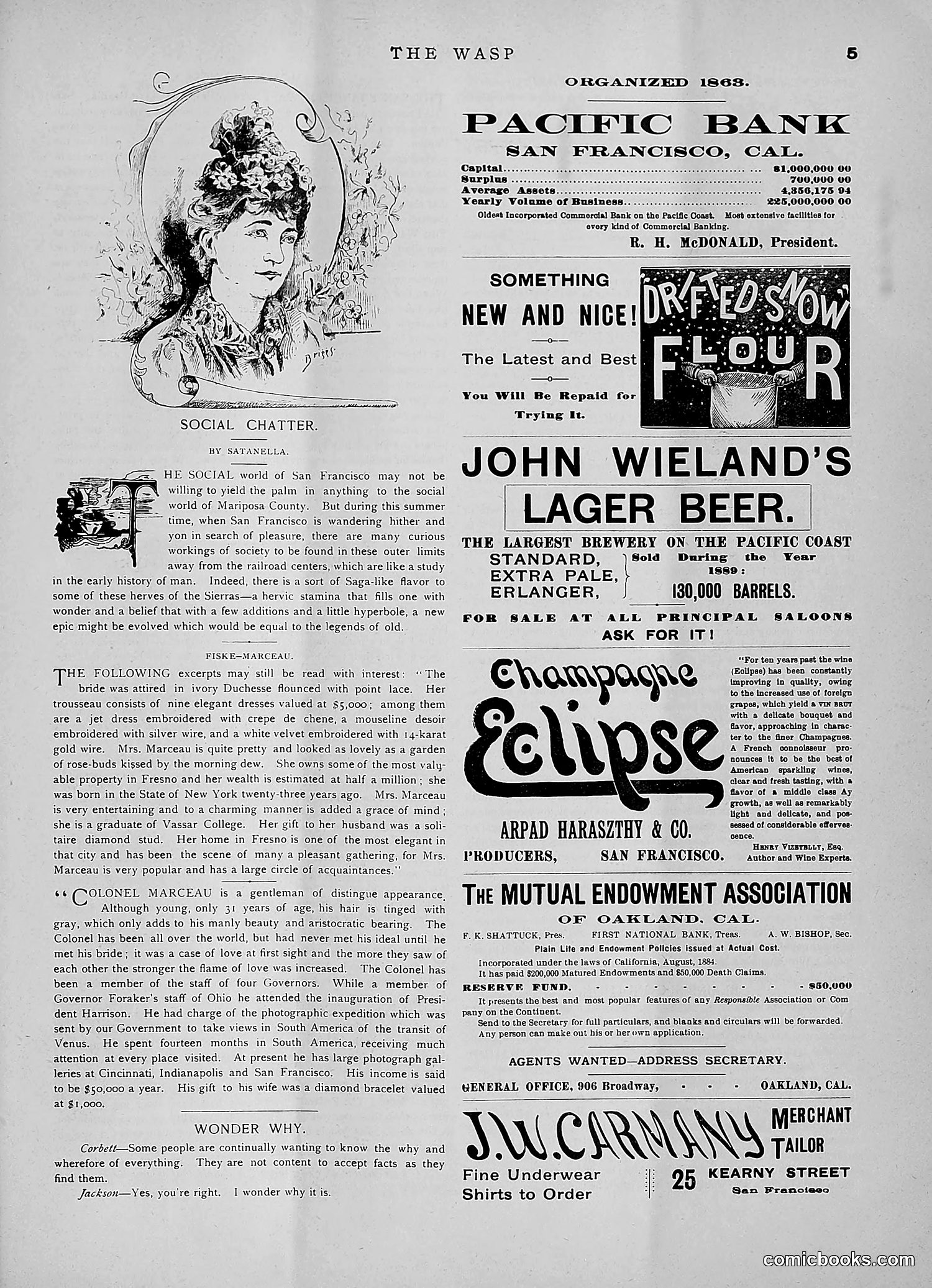 The Wasp — 1891 — page 90 of 546