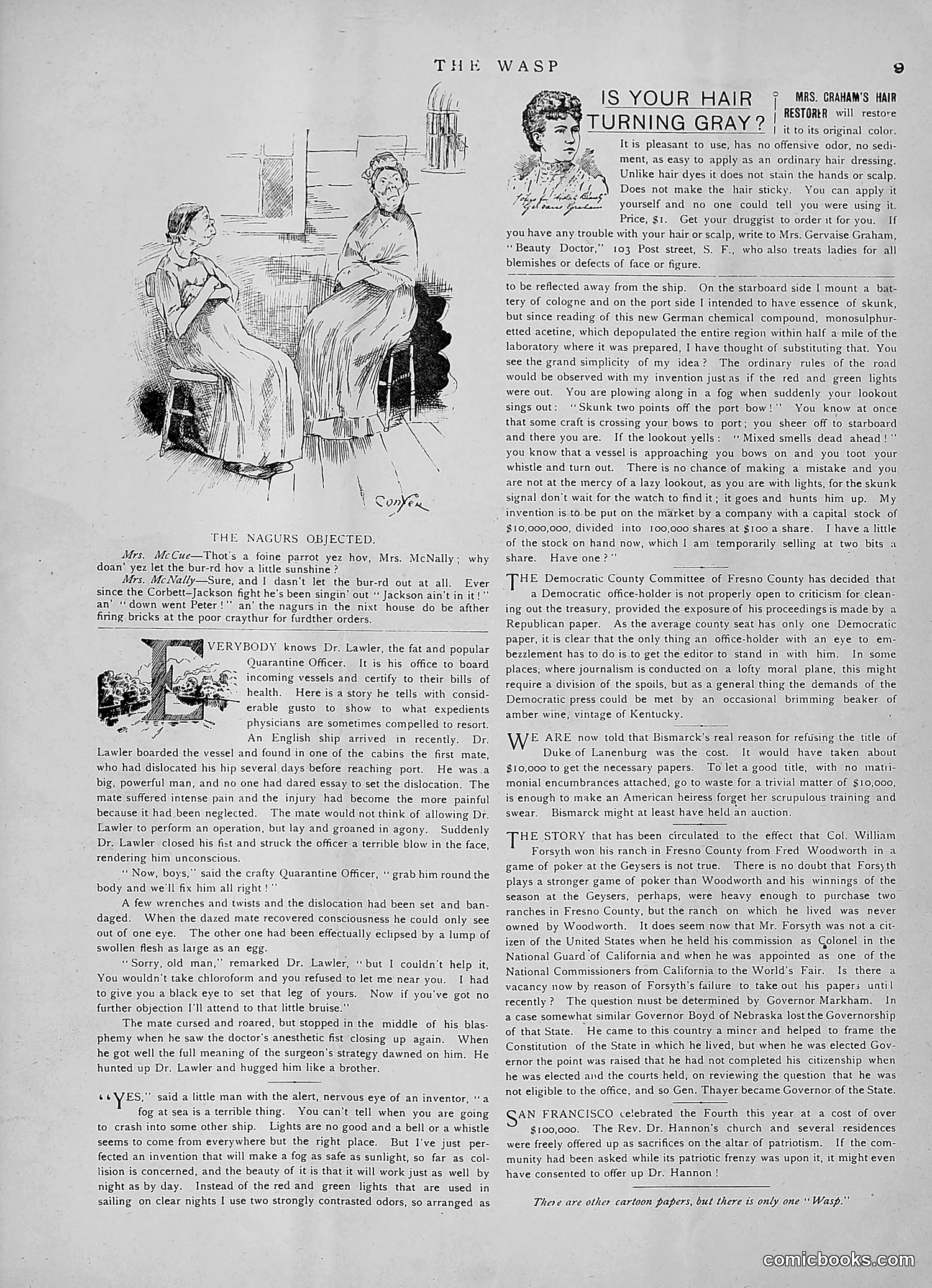 The Wasp — 1891 — page 94 of 546