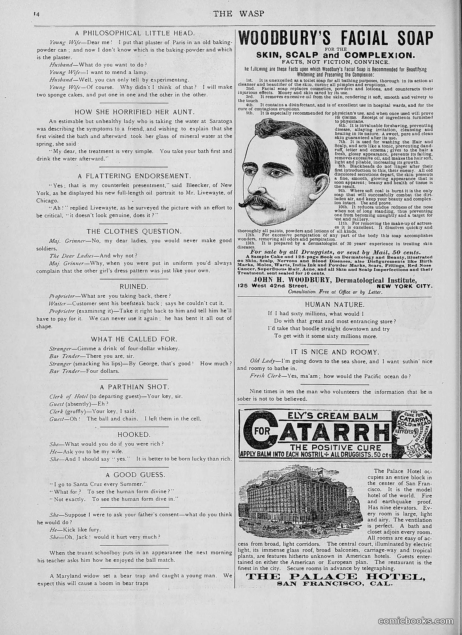 The Wasp — 1892 — page 105 of 590