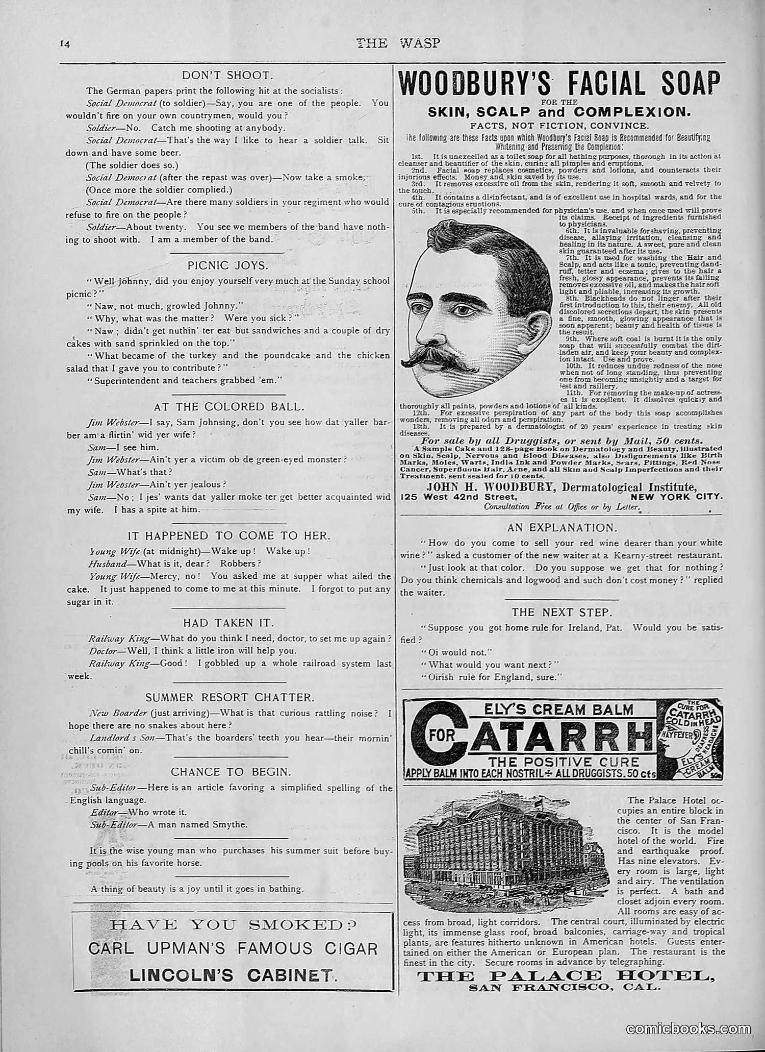 The Wasp — 1892 — page 145 of 590