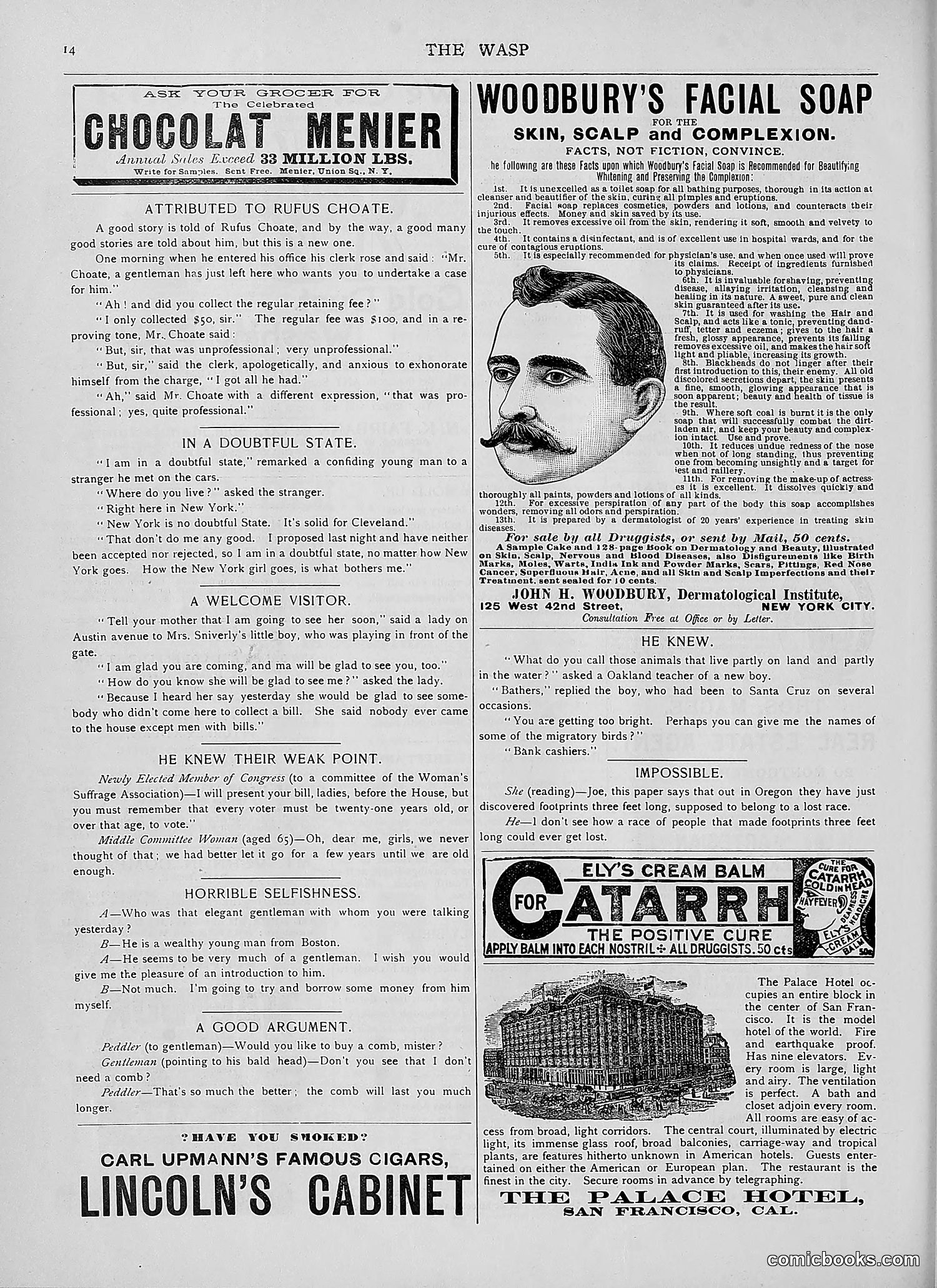 The Wasp — 1892 — page 165 of 590