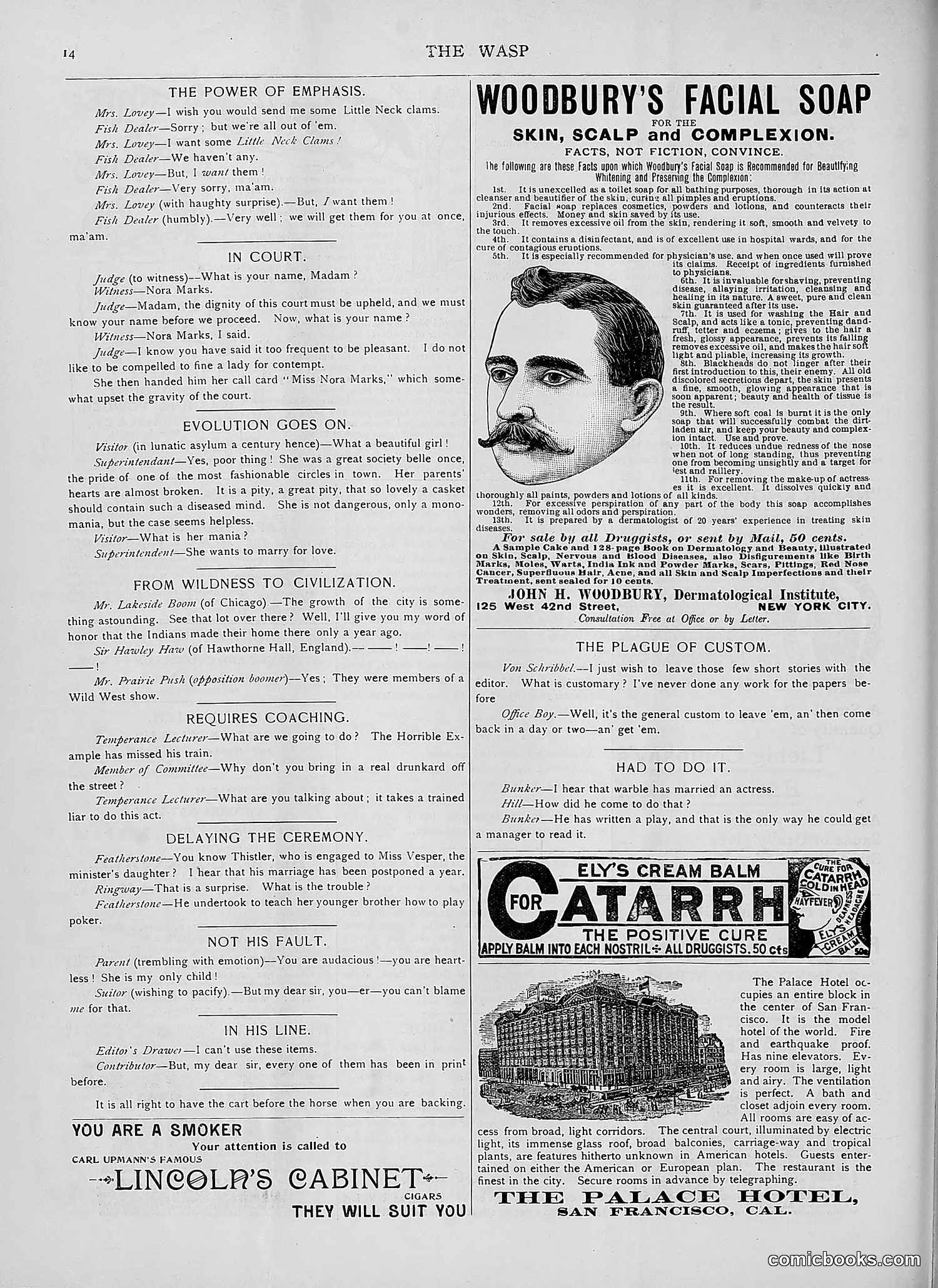 The Wasp — 1892 — page 185 of 590