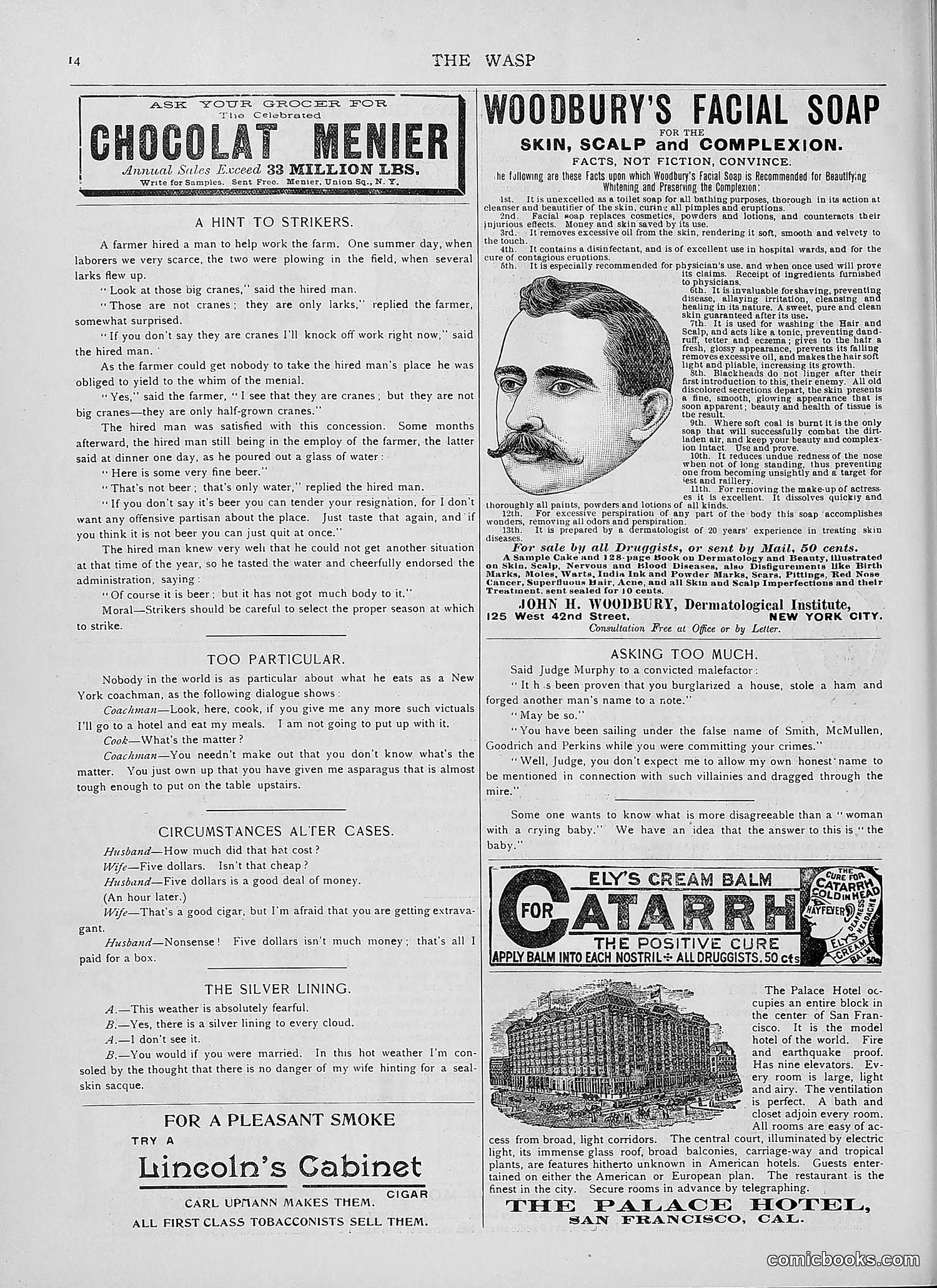 The Wasp — 1892 — page 209 of 590