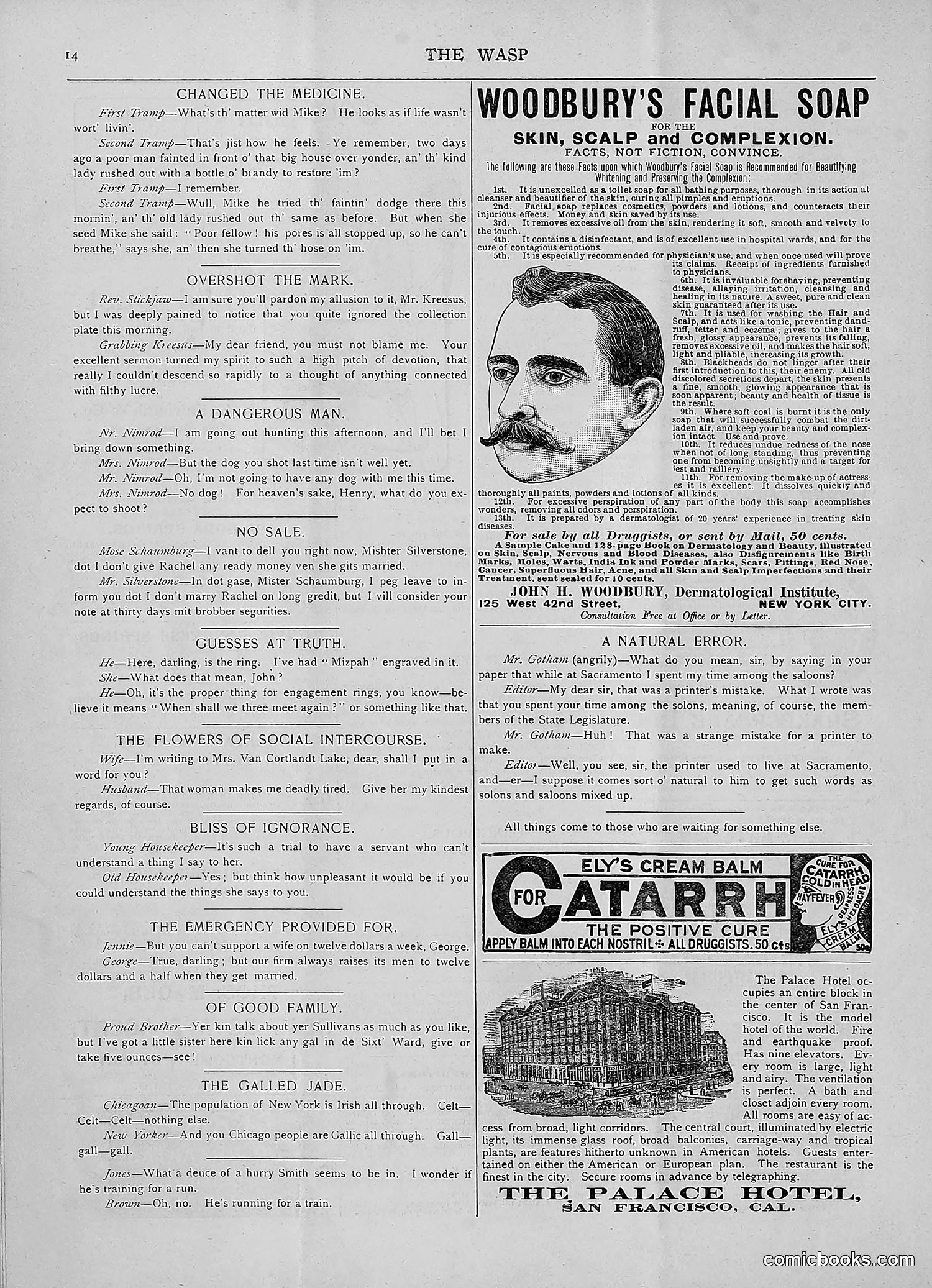The Wasp — 1892 — page 23 of 590