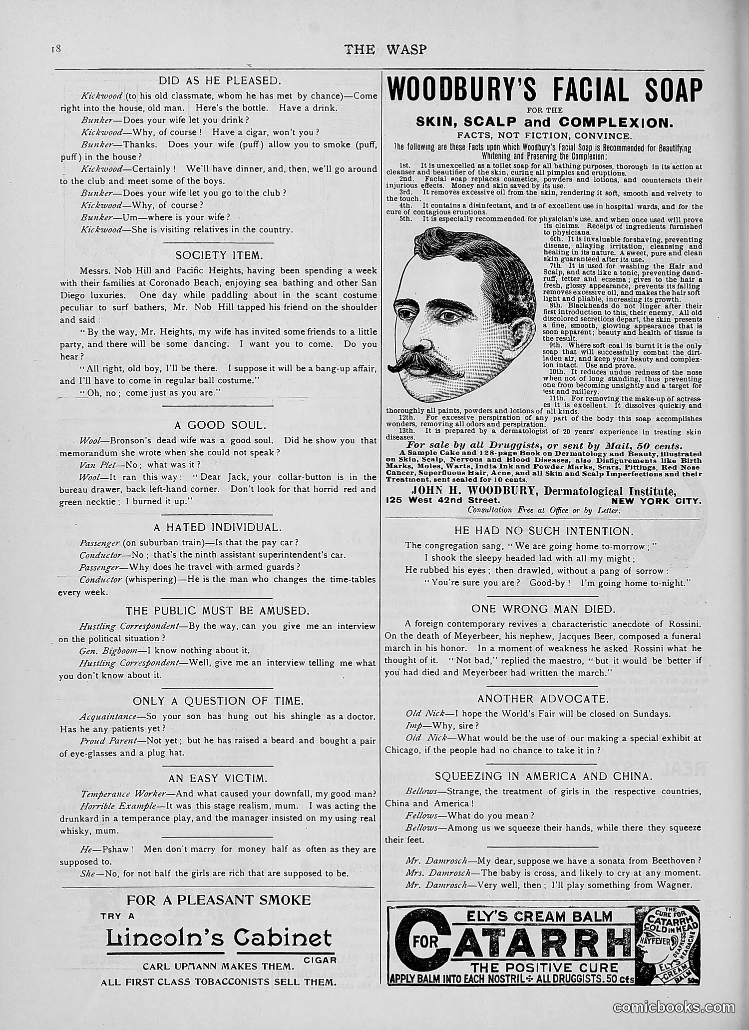 The Wasp — 1892 — page 235 of 590