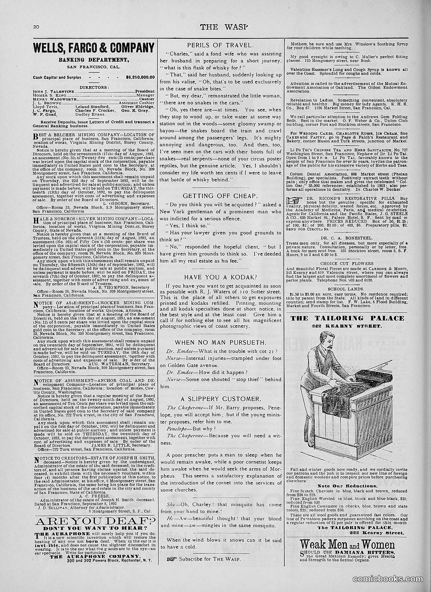 The Wasp — 1892 — page 237 of 590