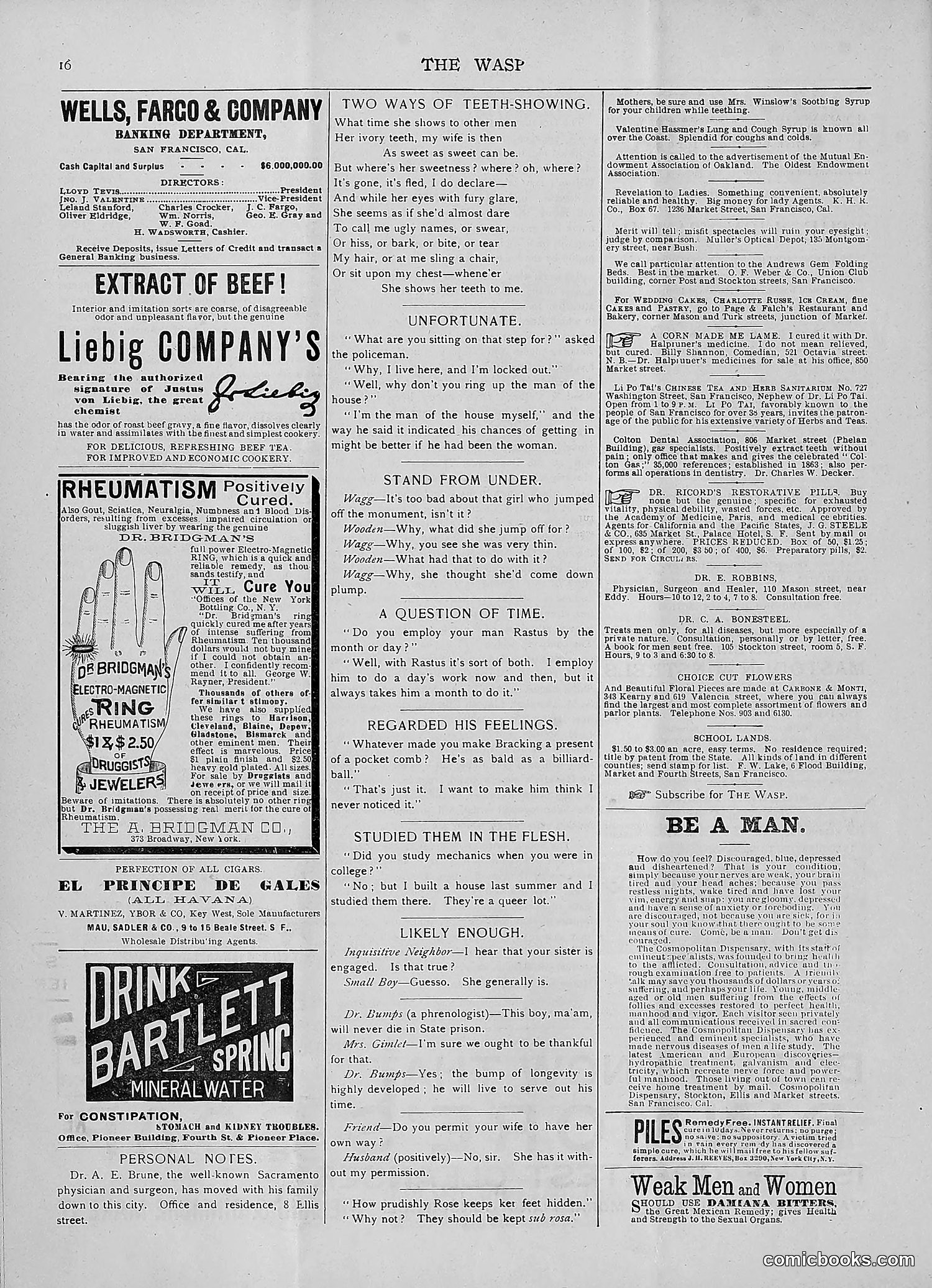 The Wasp — 1892 — page 25 of 590