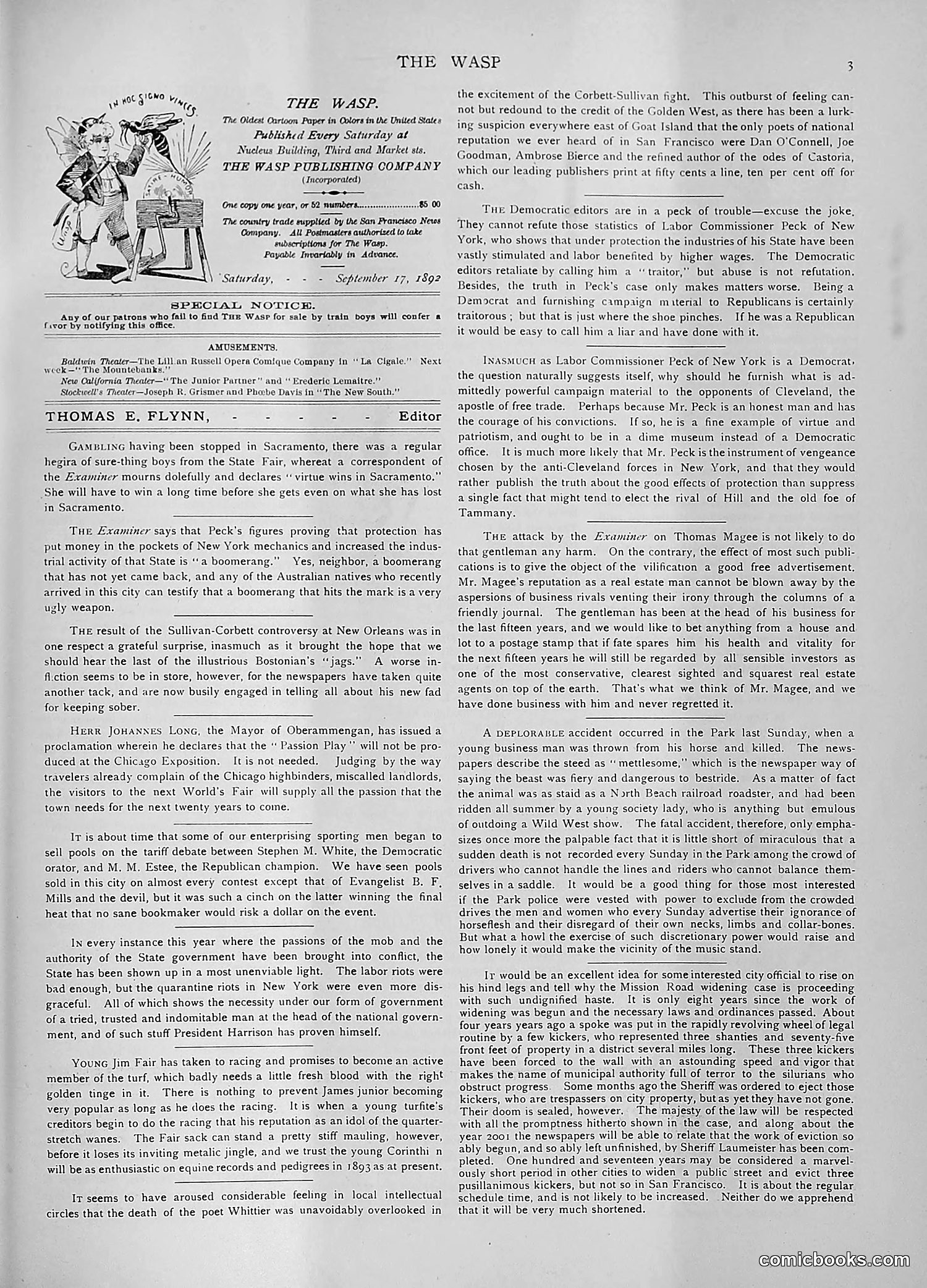 The Wasp — 1892 — page 244 of 590