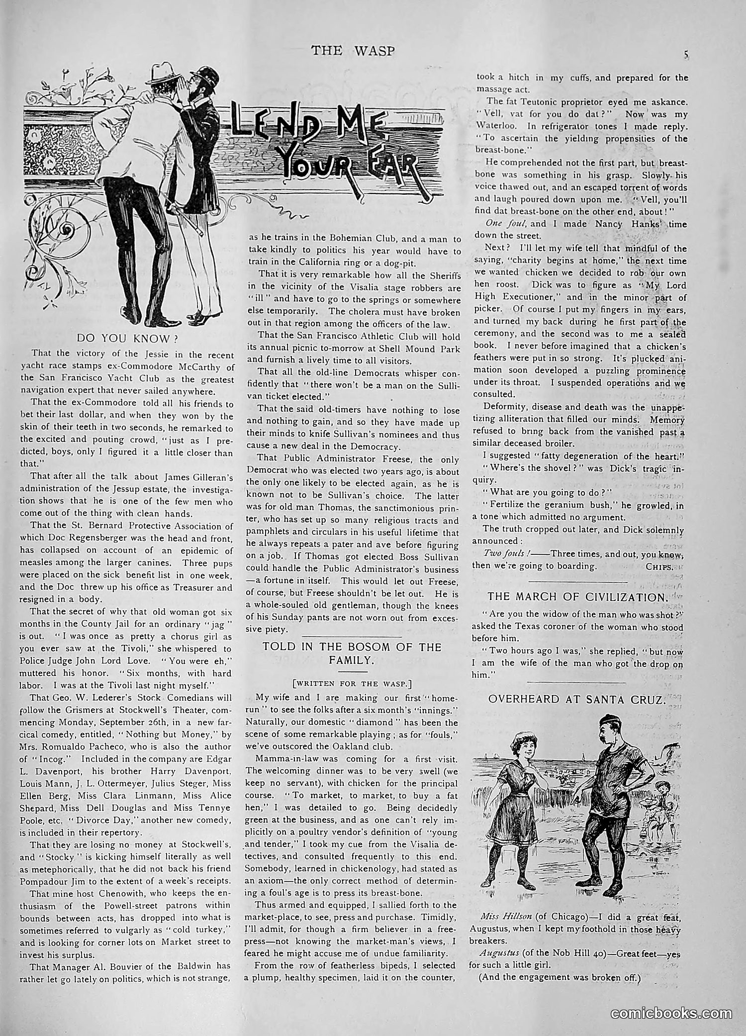 The Wasp — 1892 — page 246 of 590