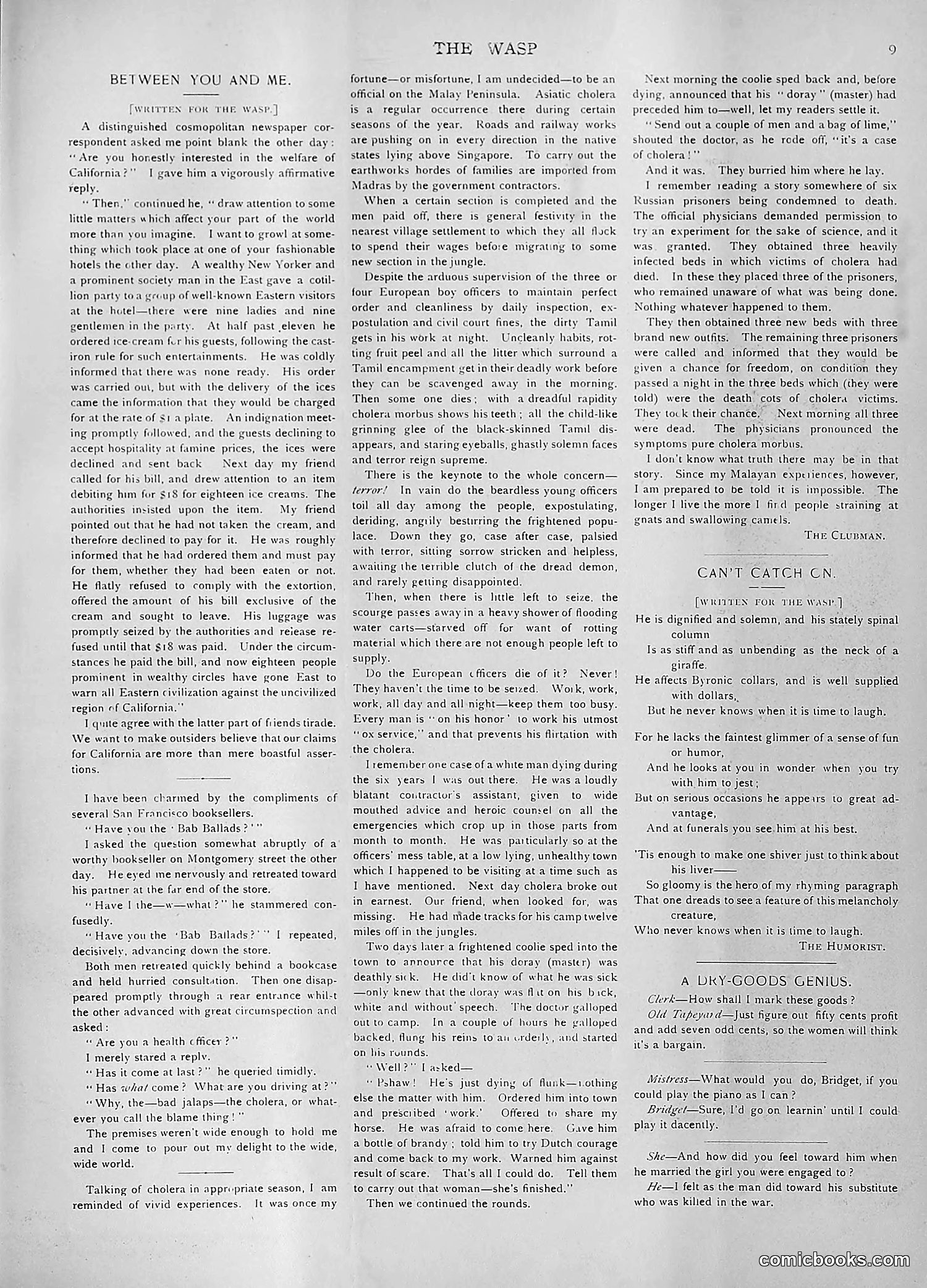 The Wasp — 1892 — page 250 of 590
