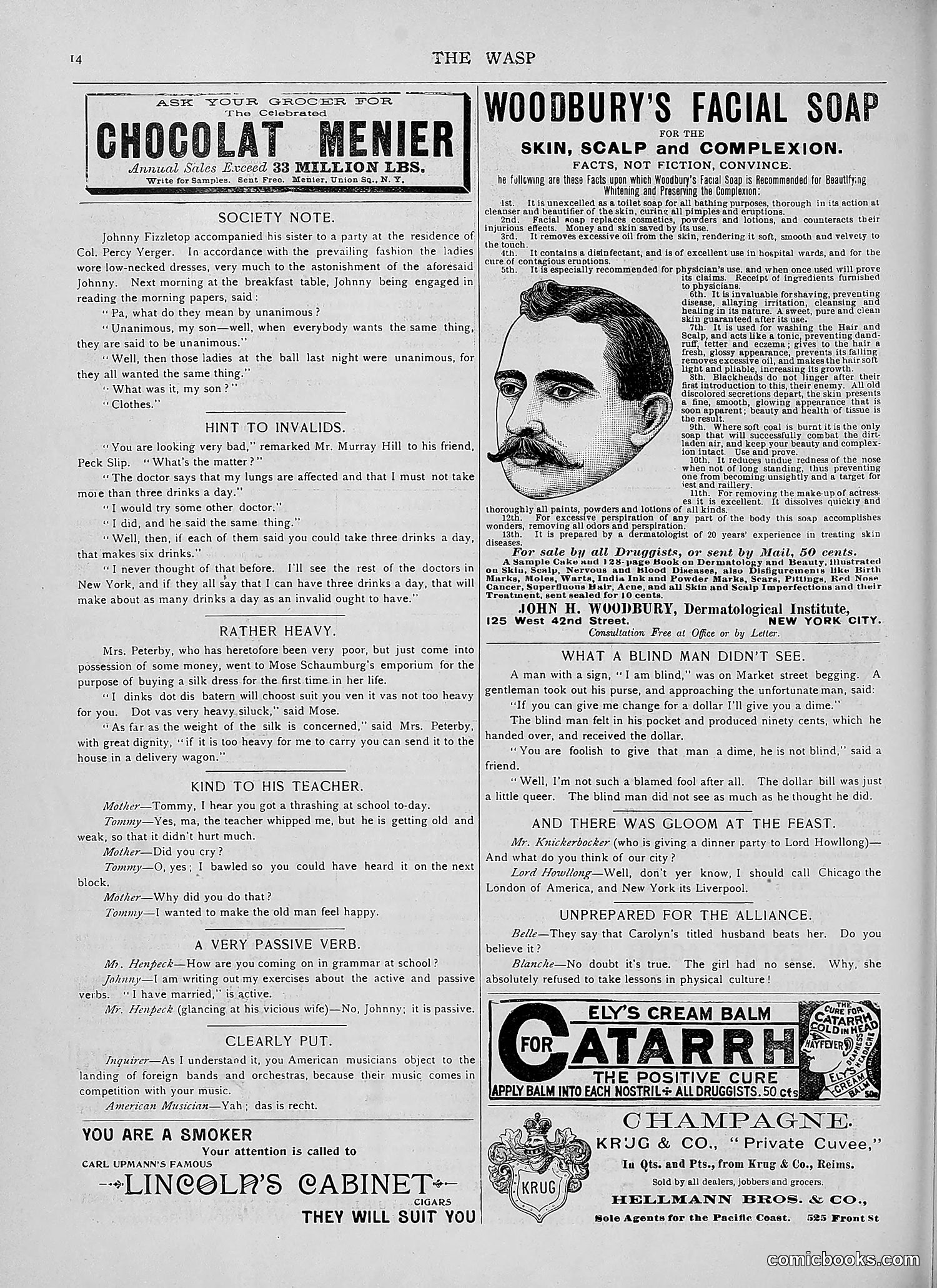 The Wasp — 1892 — page 255 of 590